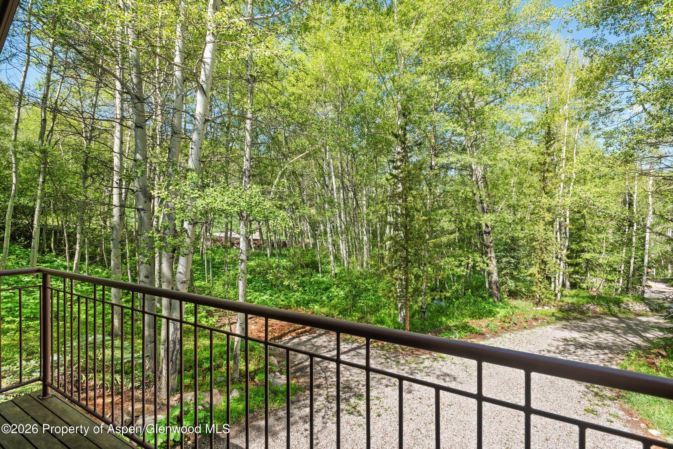 38 Valley View Road Snowmass Village CO 81615