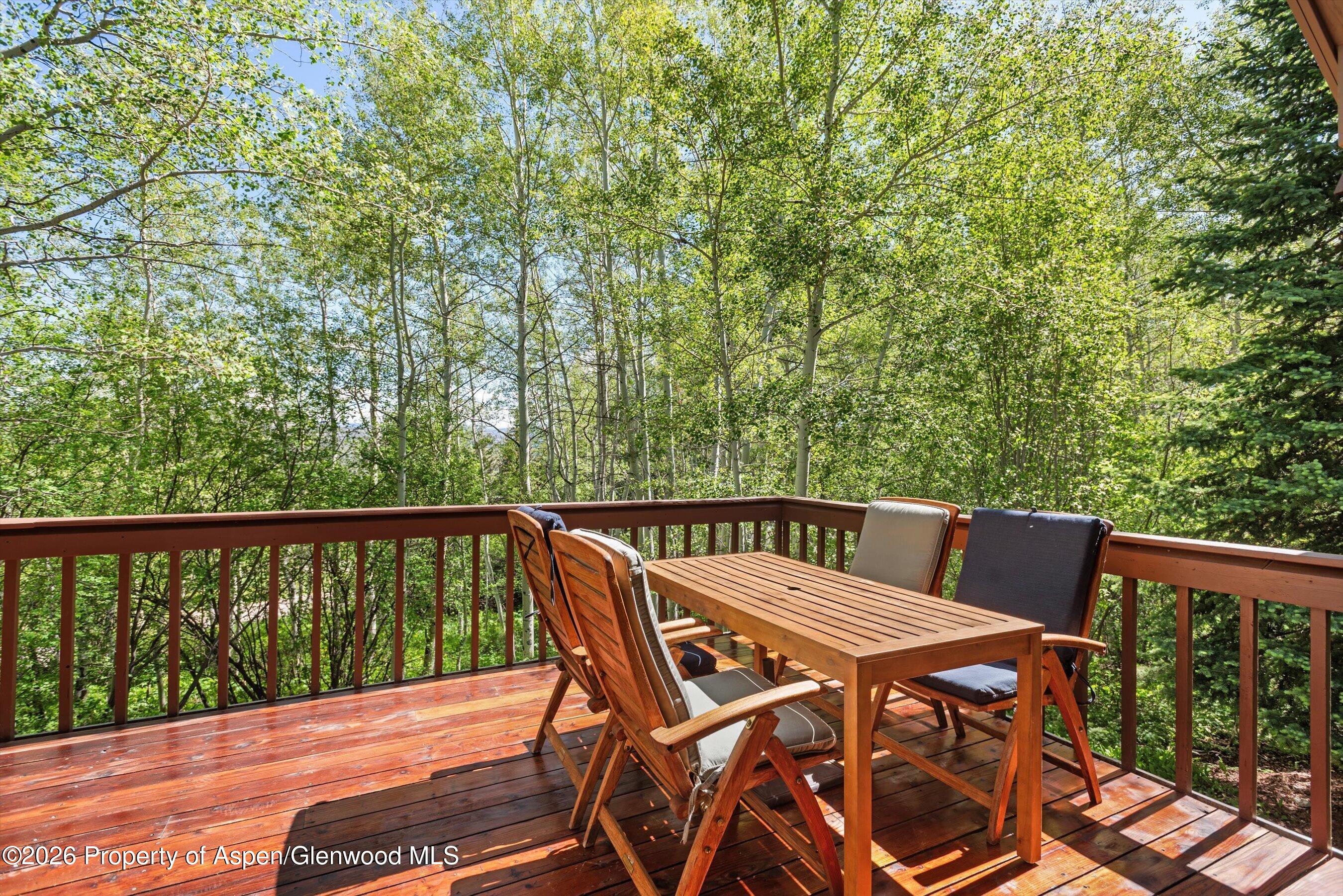 38 Valley View Road Snowmass Village CO 81615