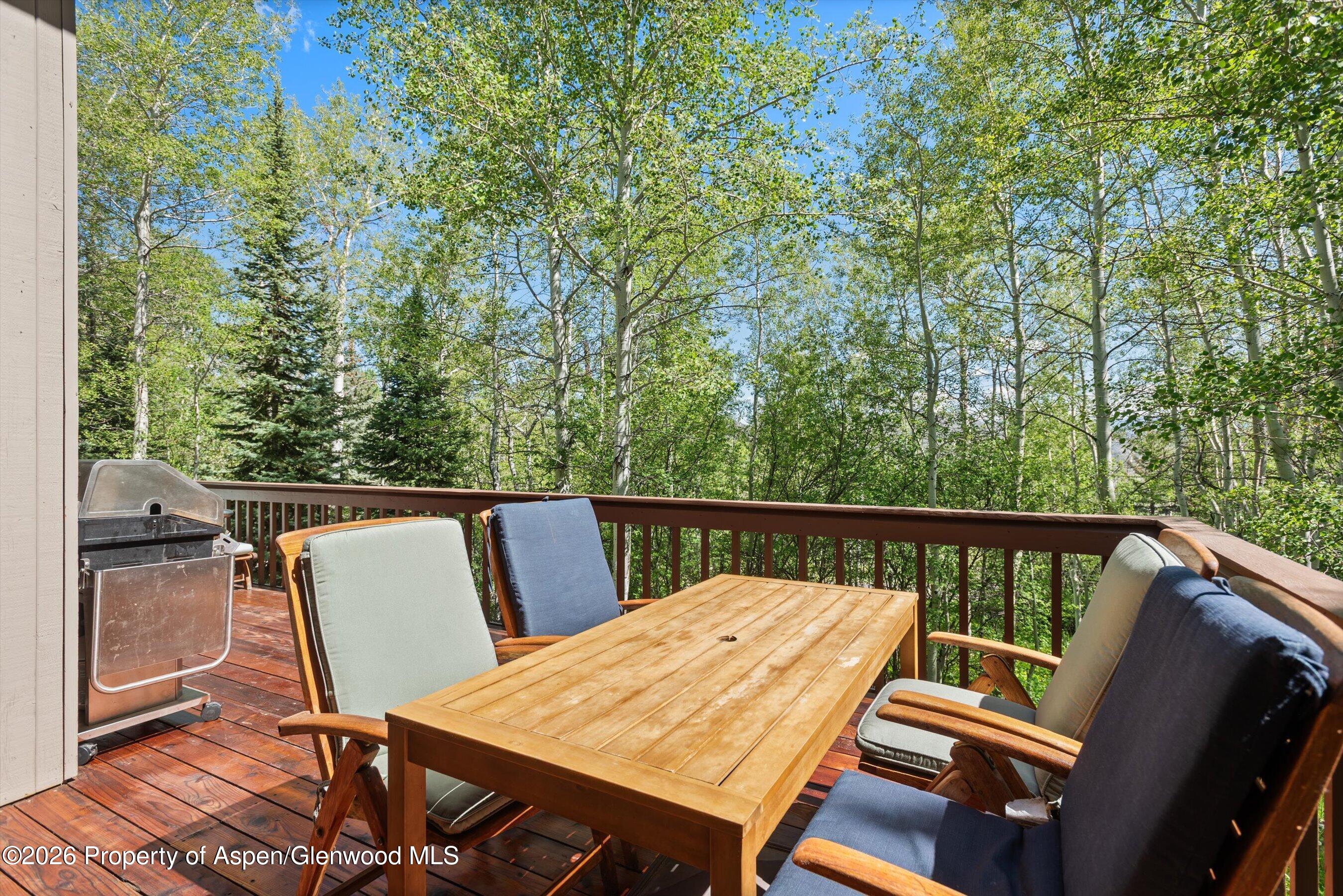 38 Valley View Road Snowmass Village CO 81615