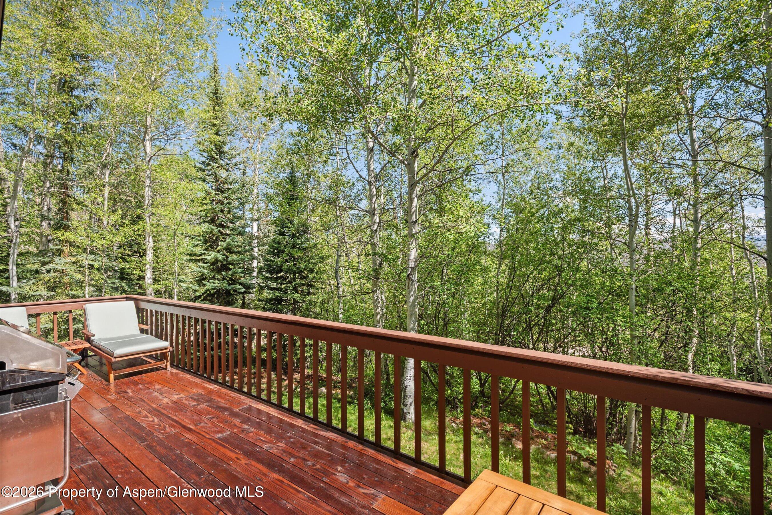 38 Valley View Road Snowmass Village CO 81615