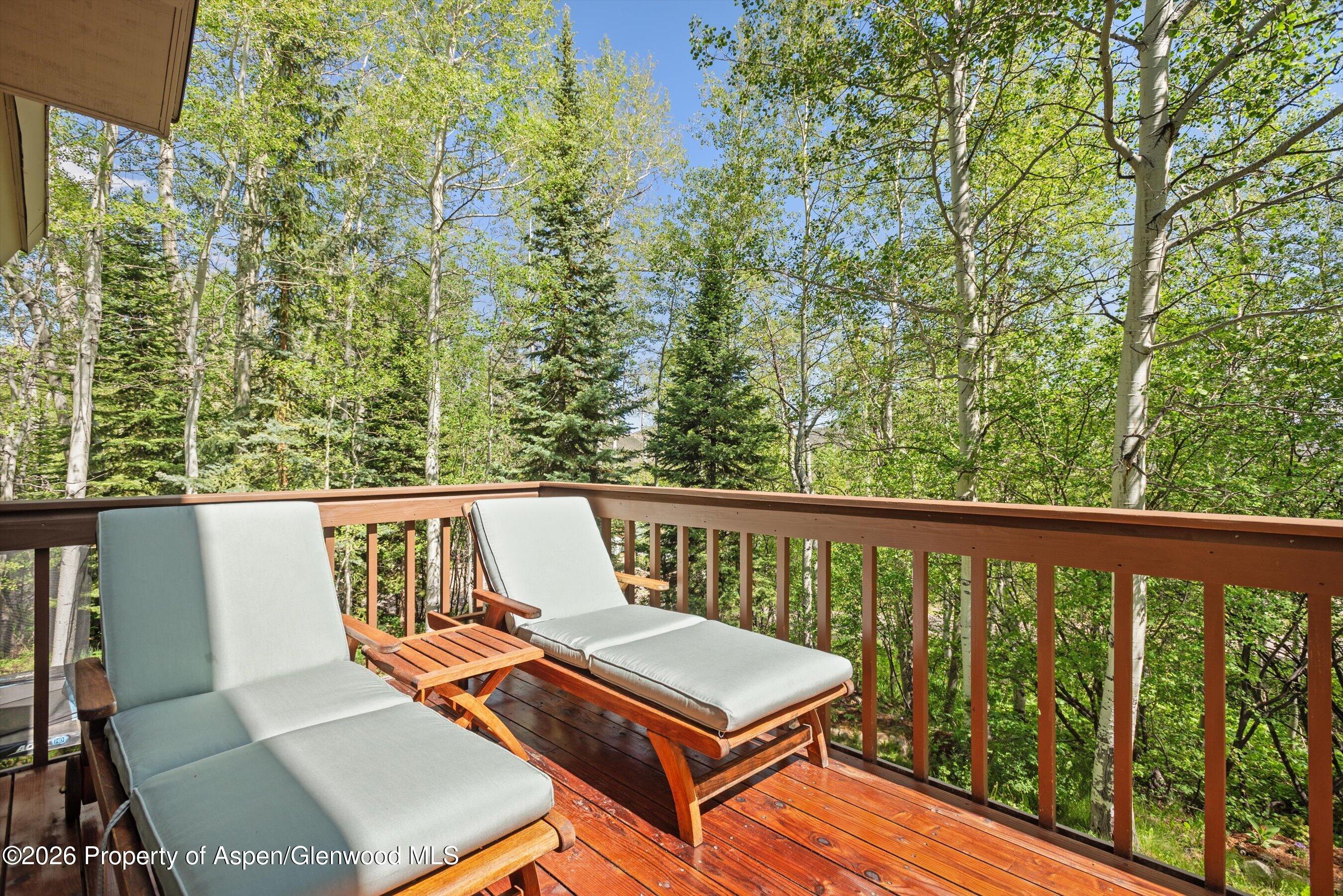 38 Valley View Road Snowmass Village CO 81615