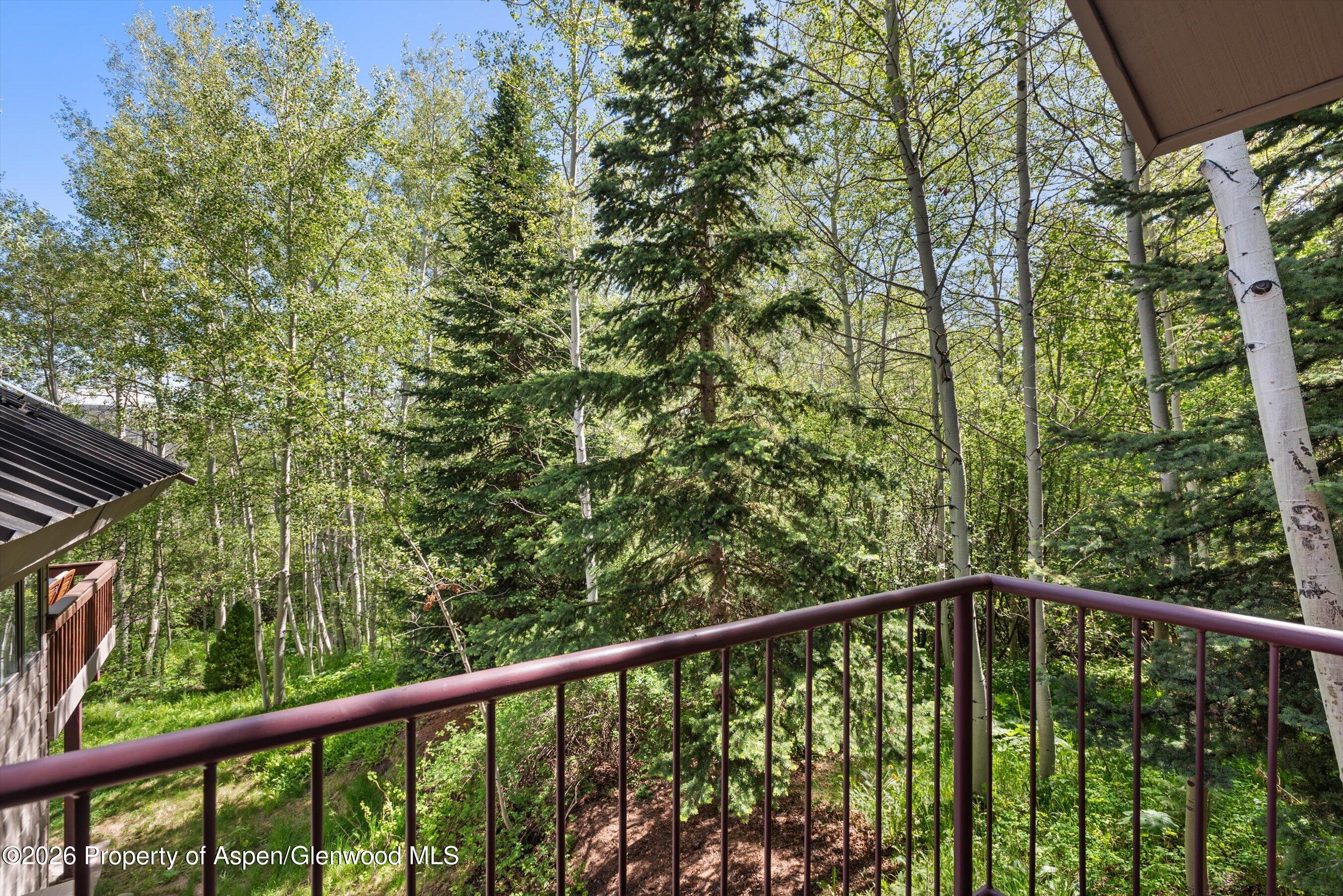 38 Valley View Road Snowmass Village CO 81615