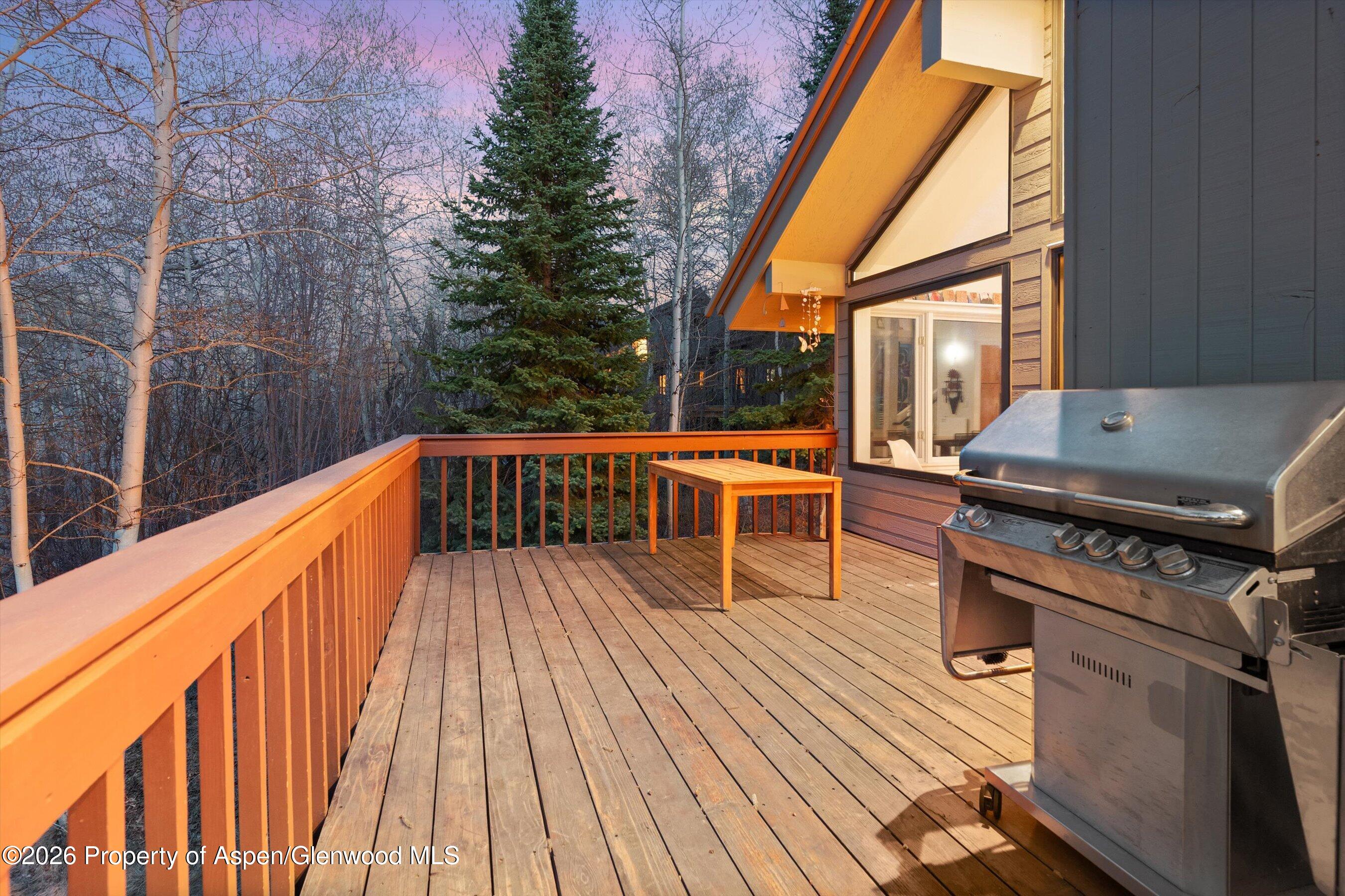 38 Valley View Road Snowmass Village CO 81615