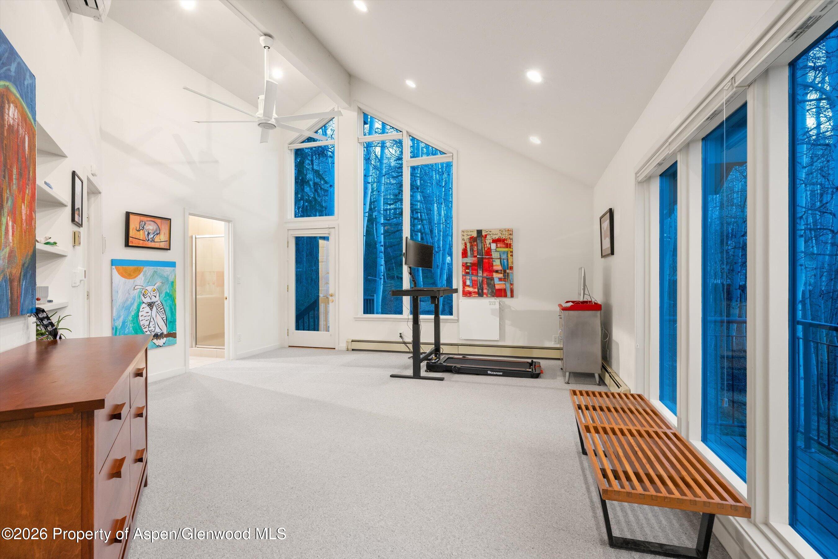 38 Valley View Road Snowmass Village CO 81615