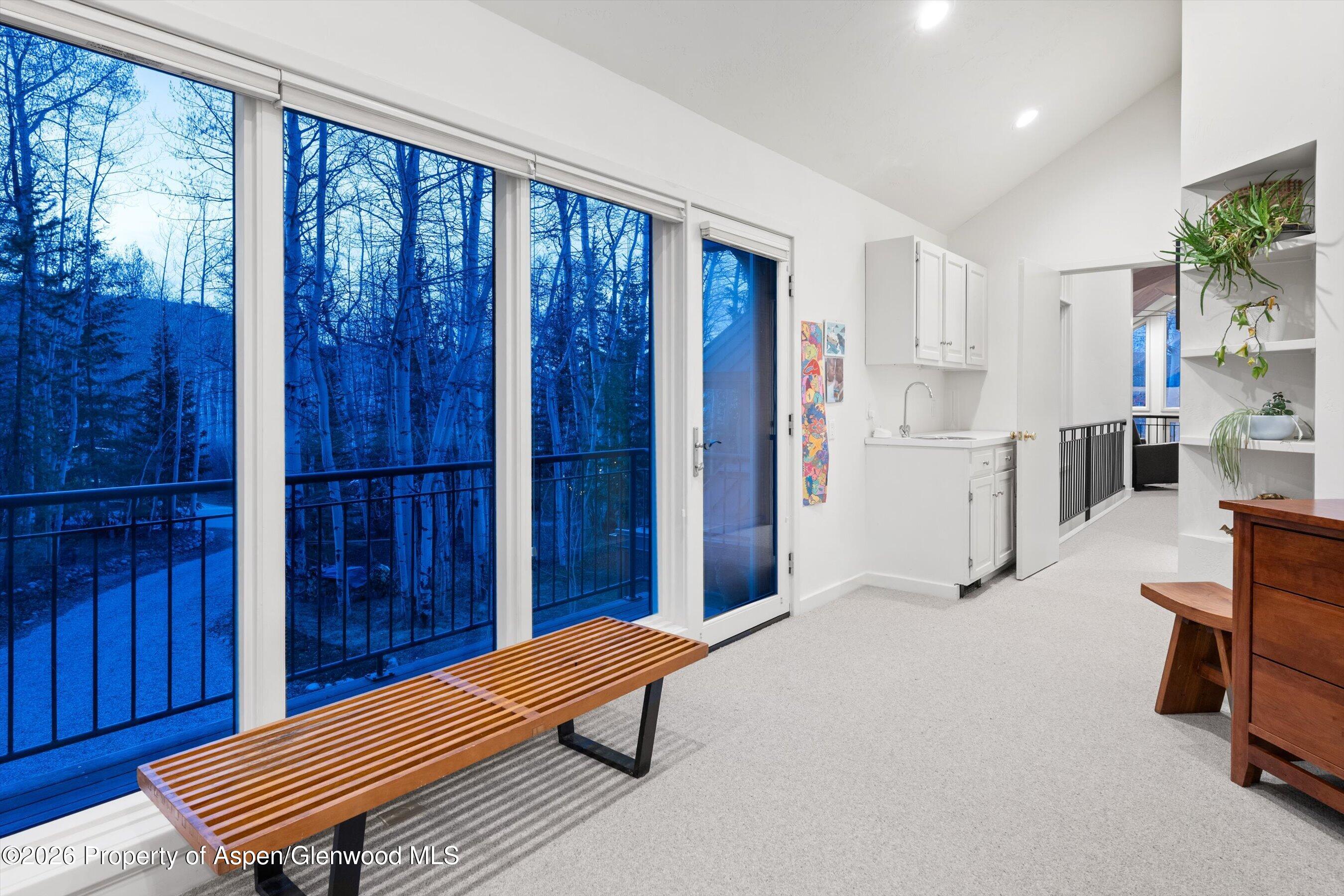38 Valley View Road Snowmass Village CO 81615