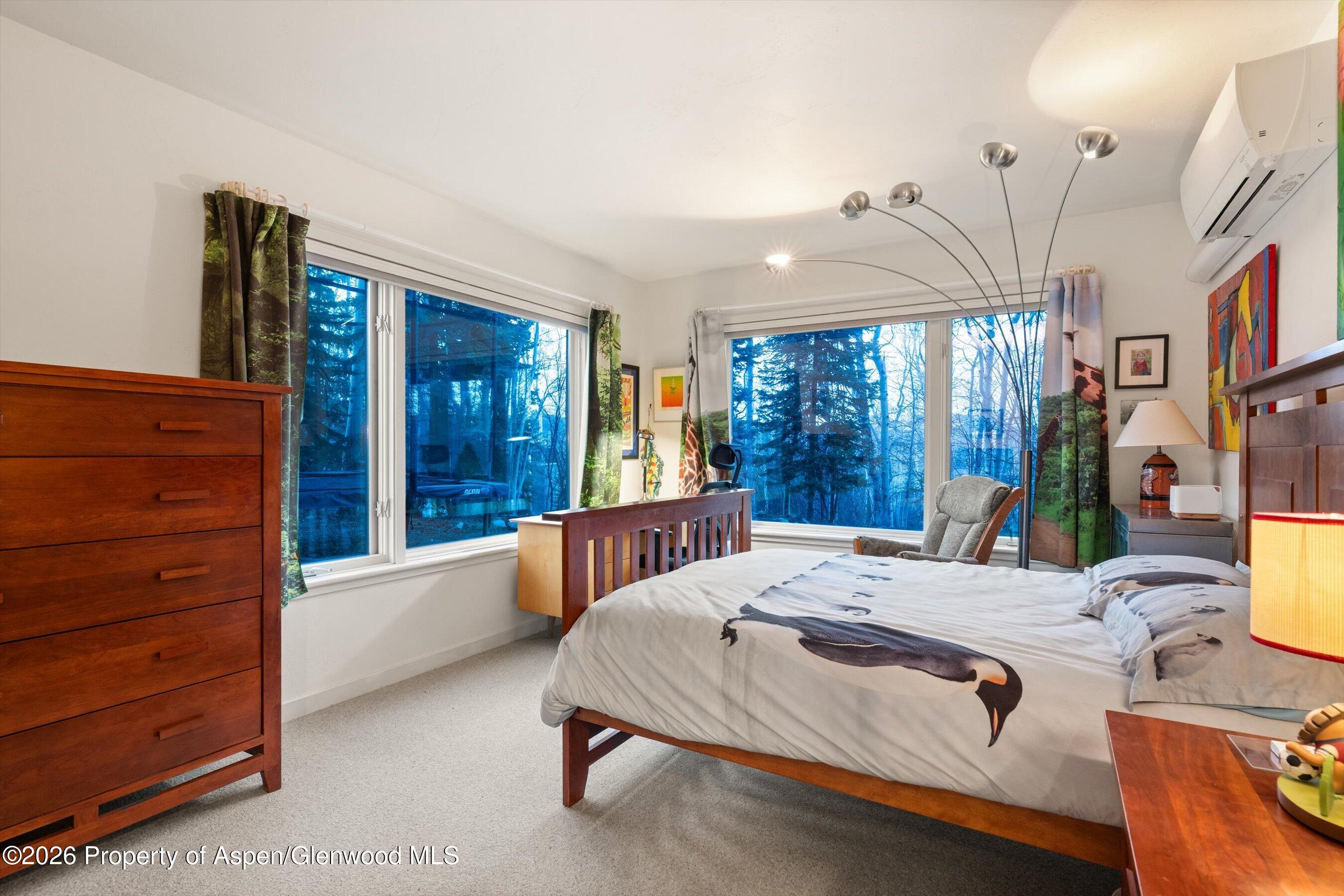 38 Valley View Road Snowmass Village CO 81615