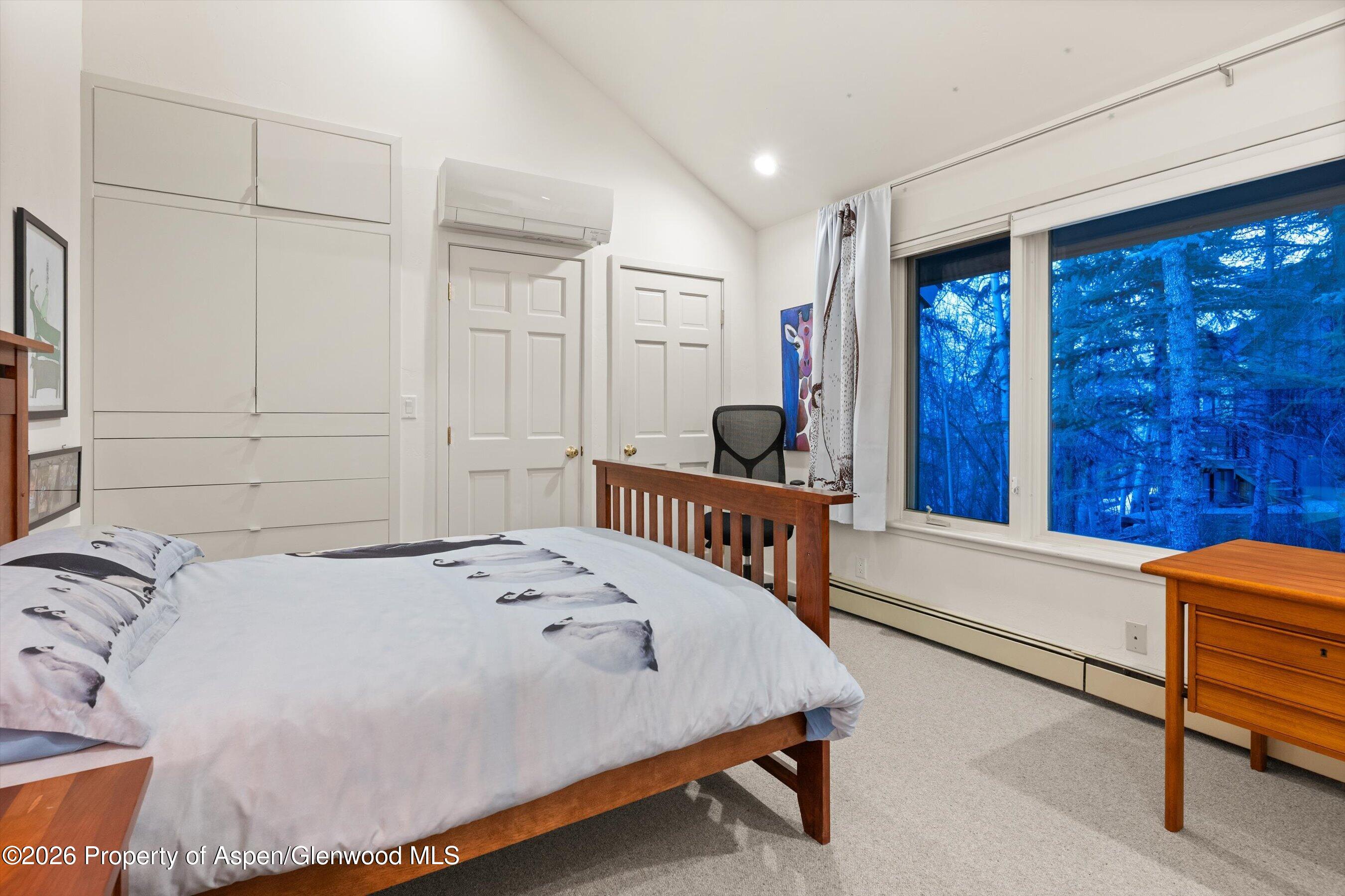 38 Valley View Road Snowmass Village CO 81615