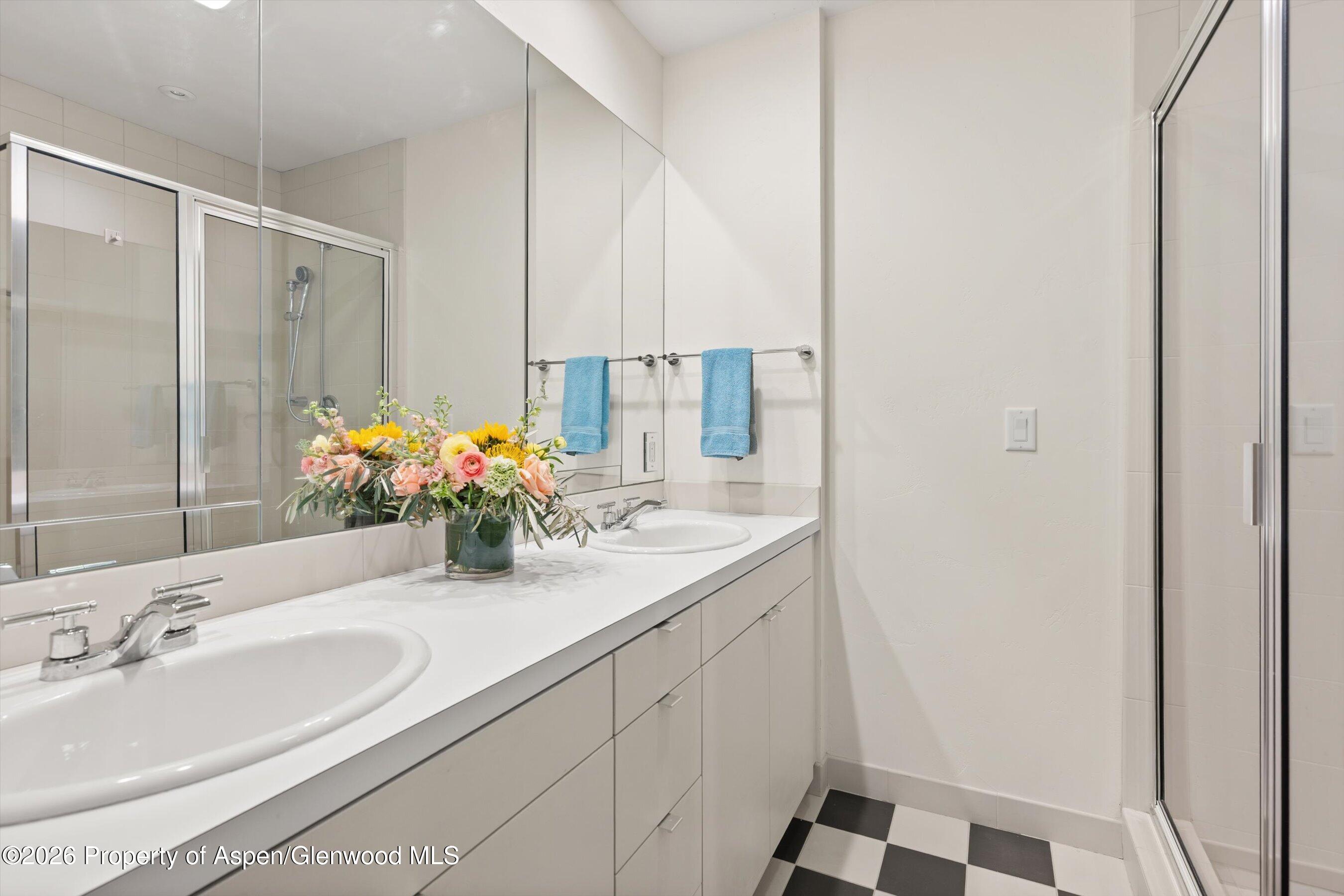 38 Valley View Road Snowmass Village CO 81615