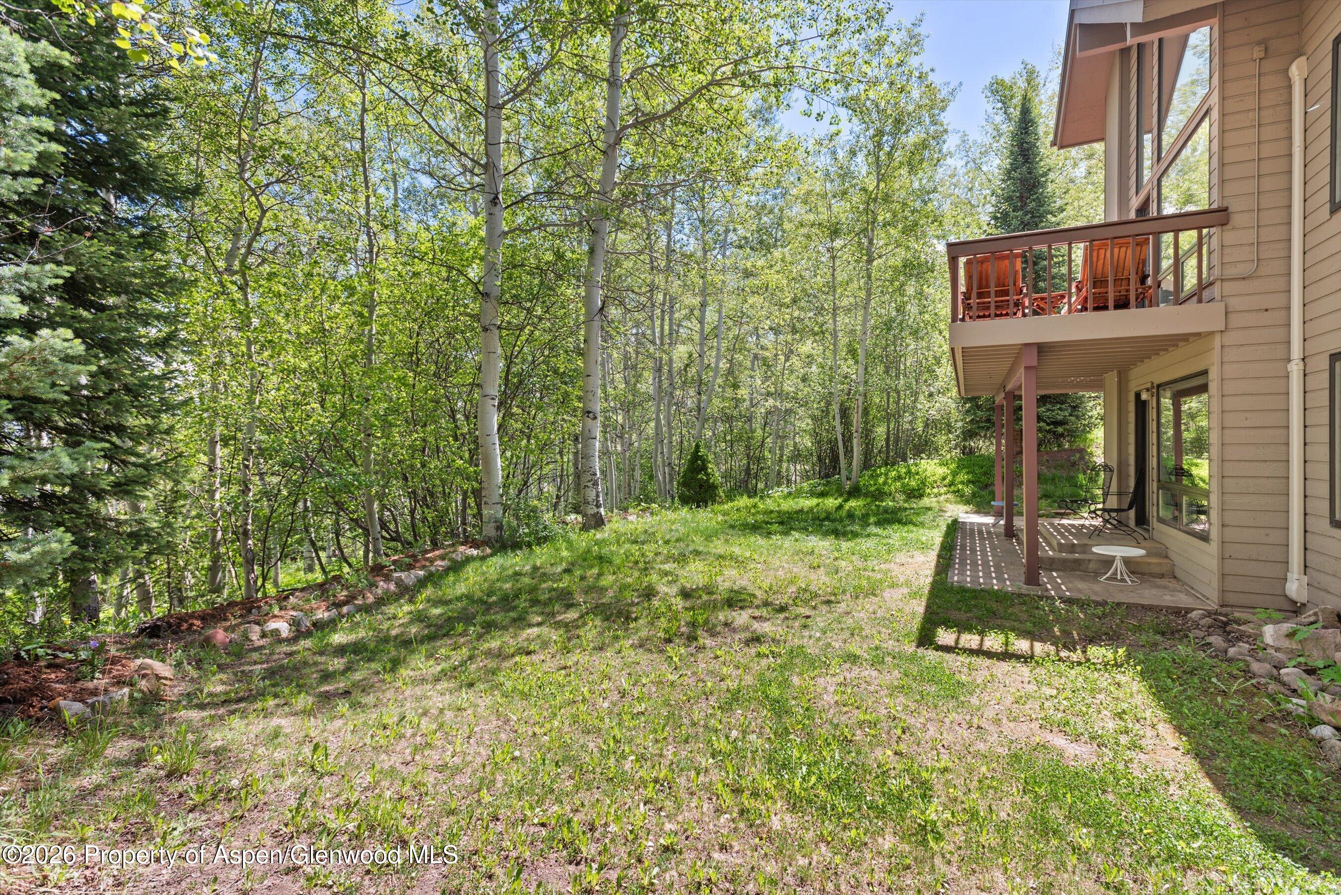 38 Valley View Road Snowmass Village CO 81615