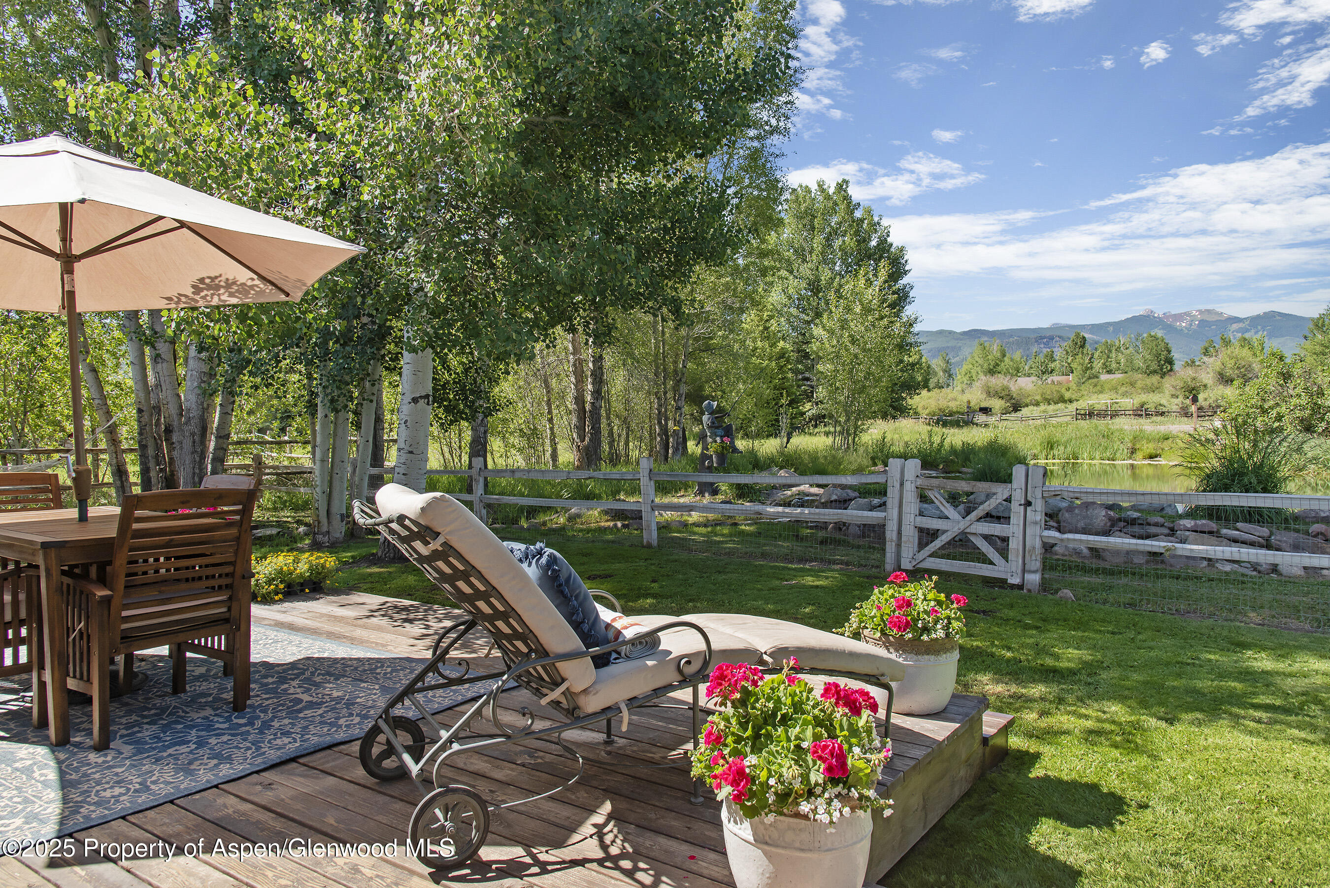 61 Davidson Lane Snowmass CO 81654