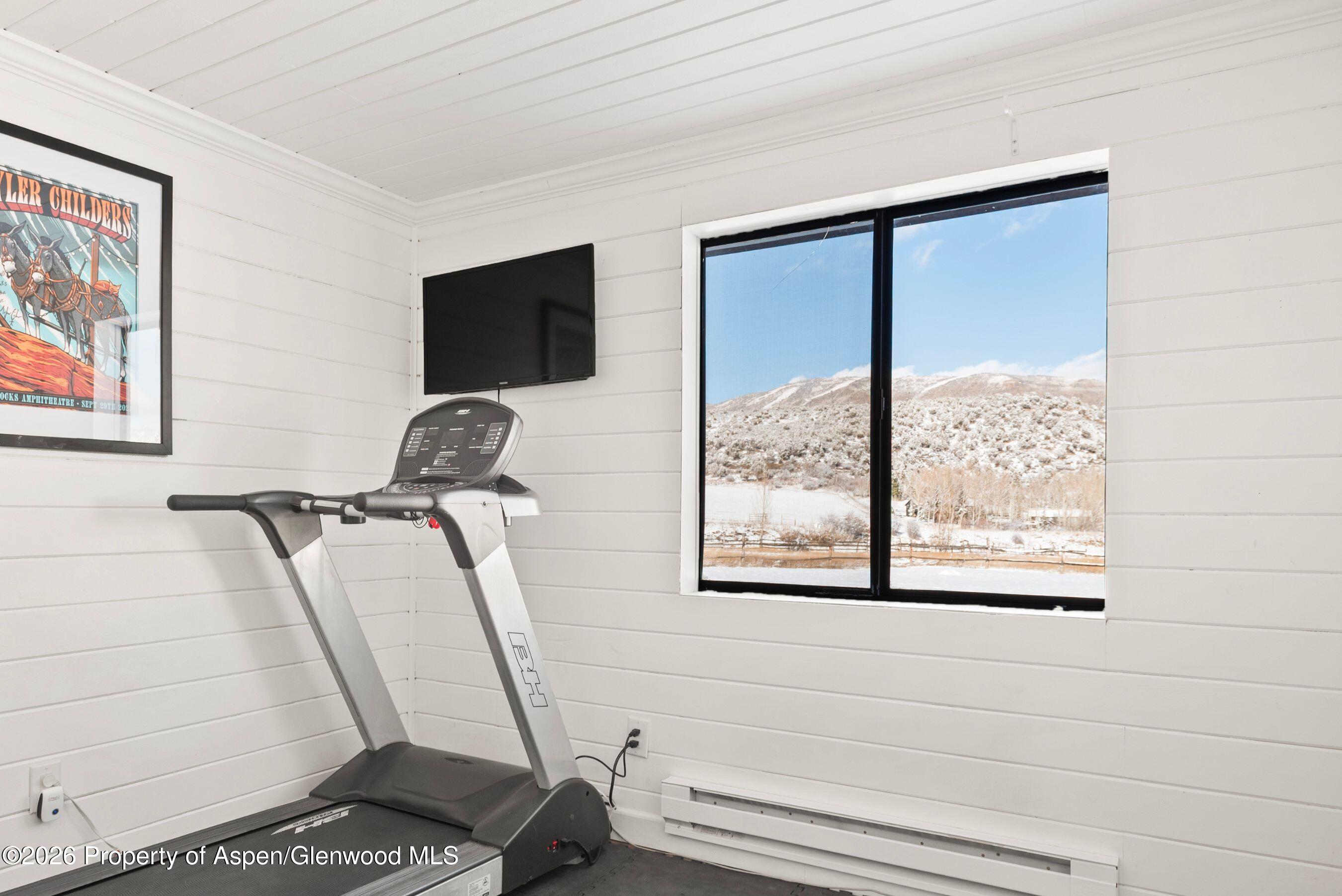 61 Davidson Lane Snowmass CO 81654