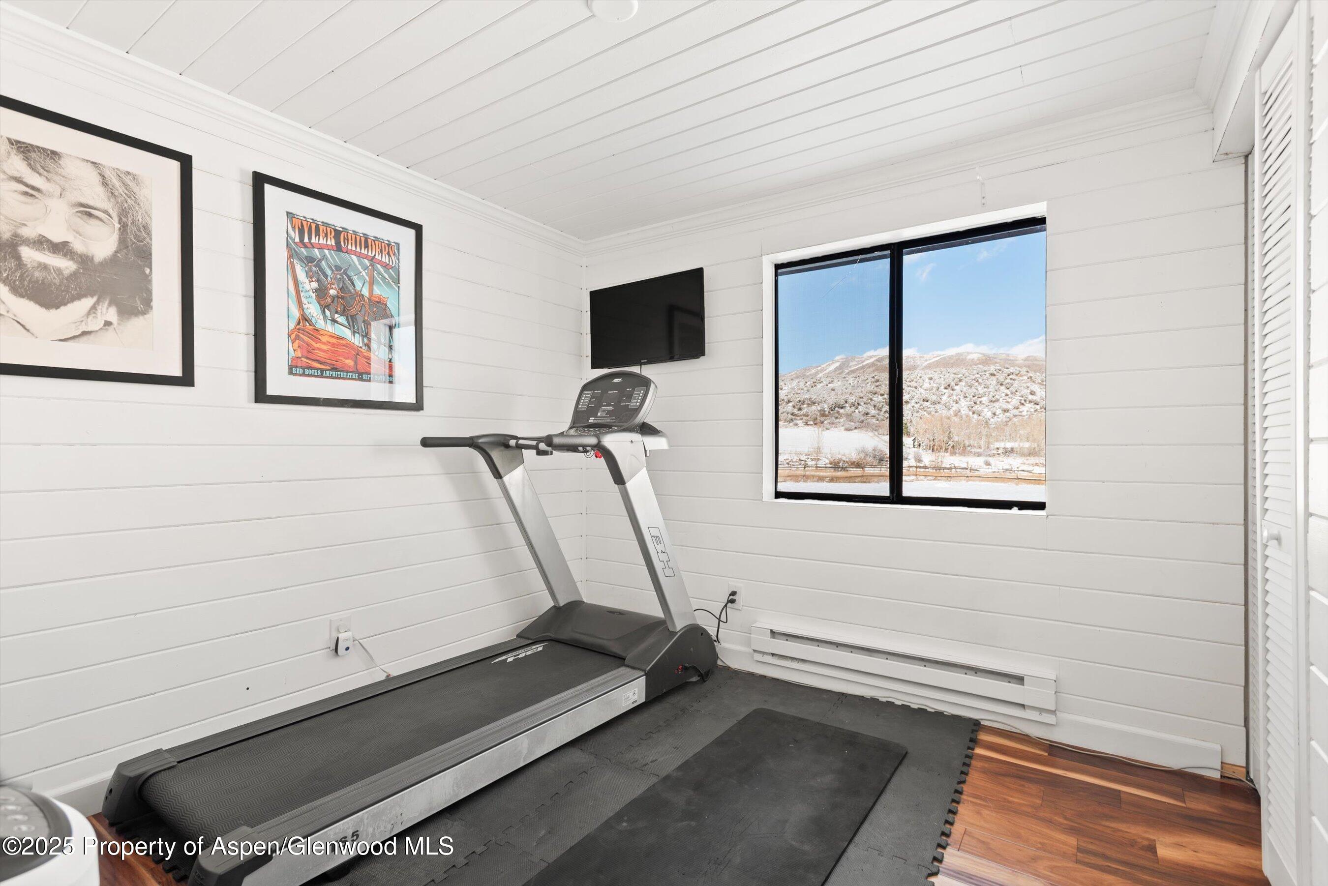 61 Davidson Lane Snowmass CO 81654