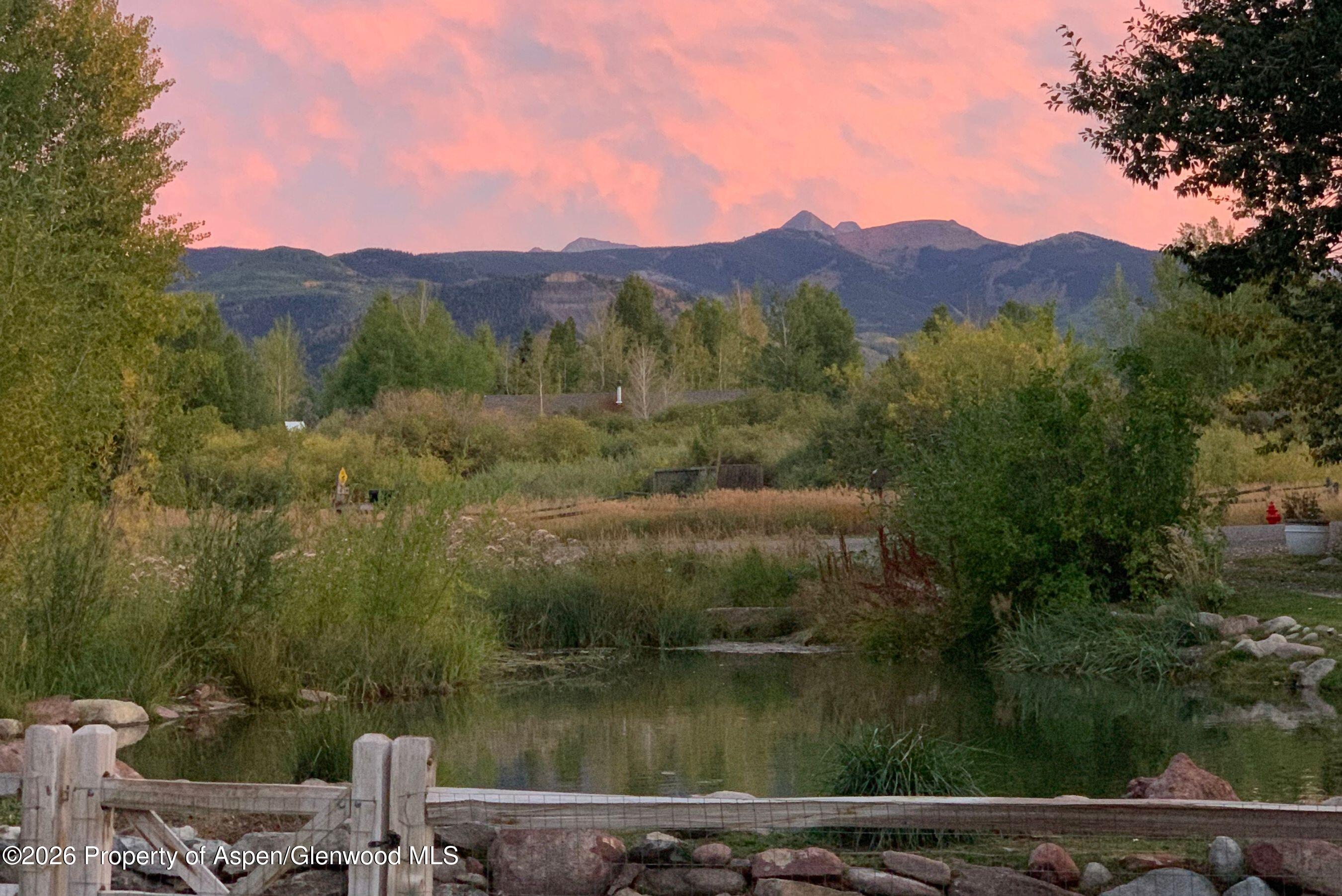 61 Davidson Lane Snowmass CO 81654