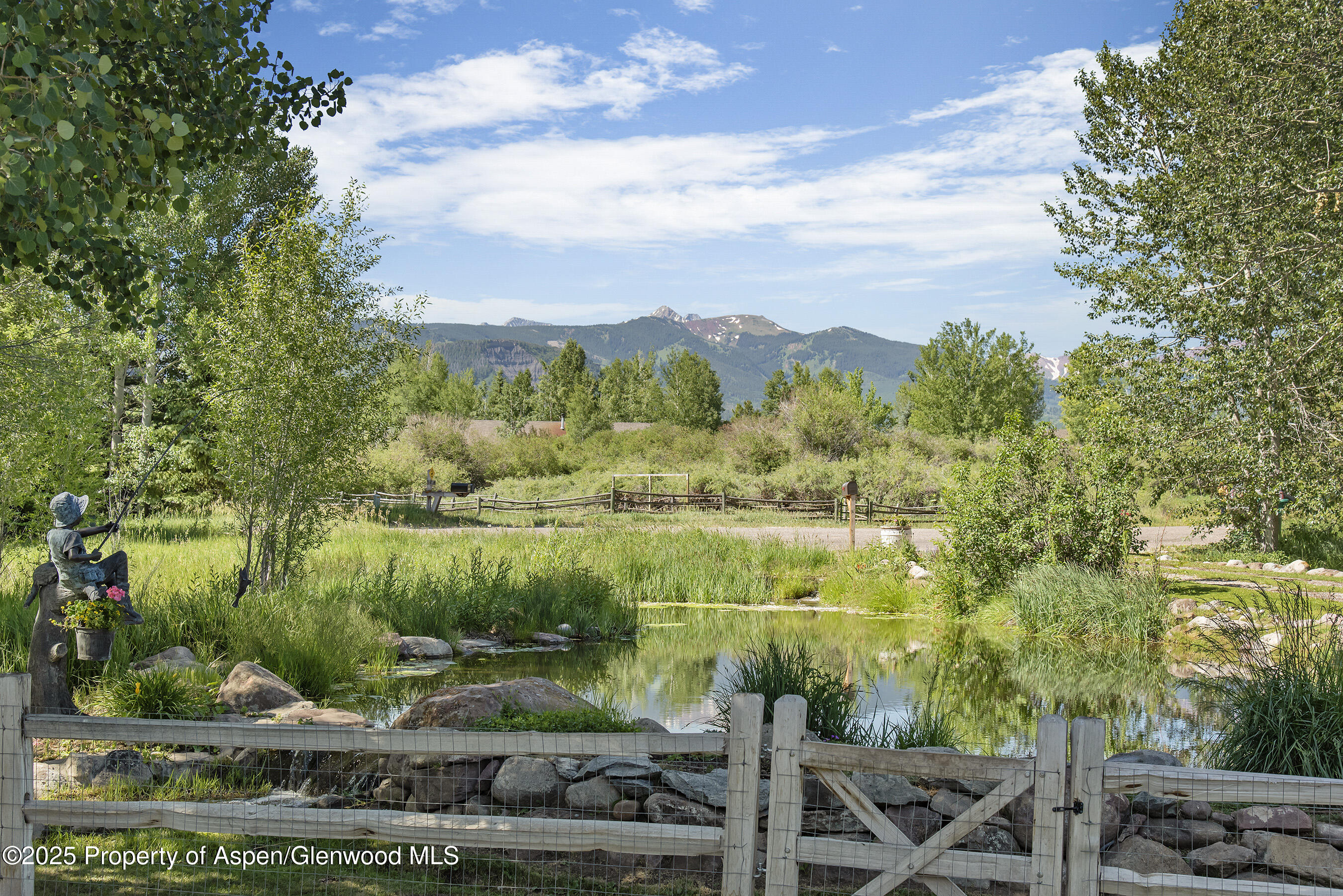 61 Davidson Lane Snowmass CO 81654