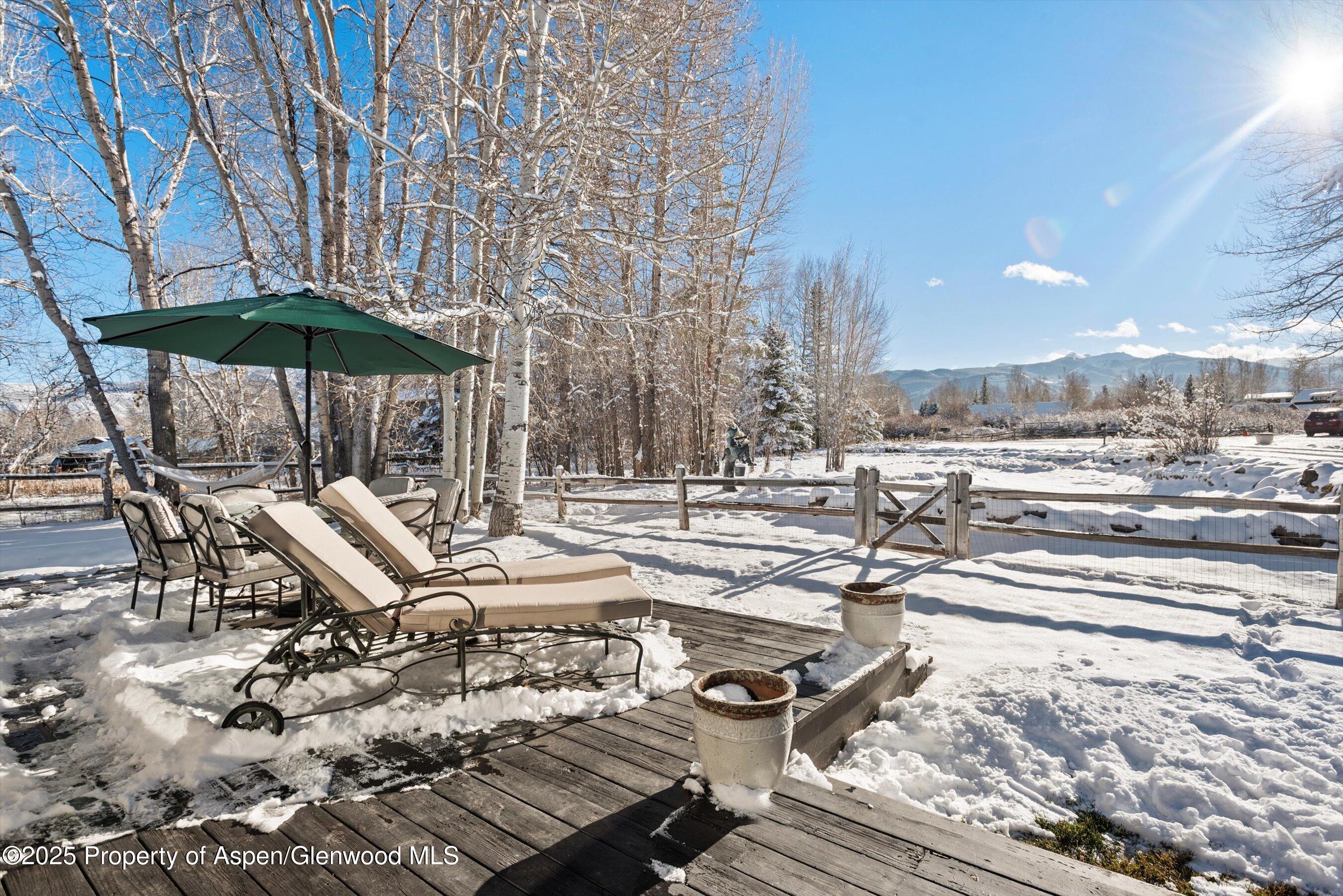 61 Davidson Lane Snowmass CO 81654