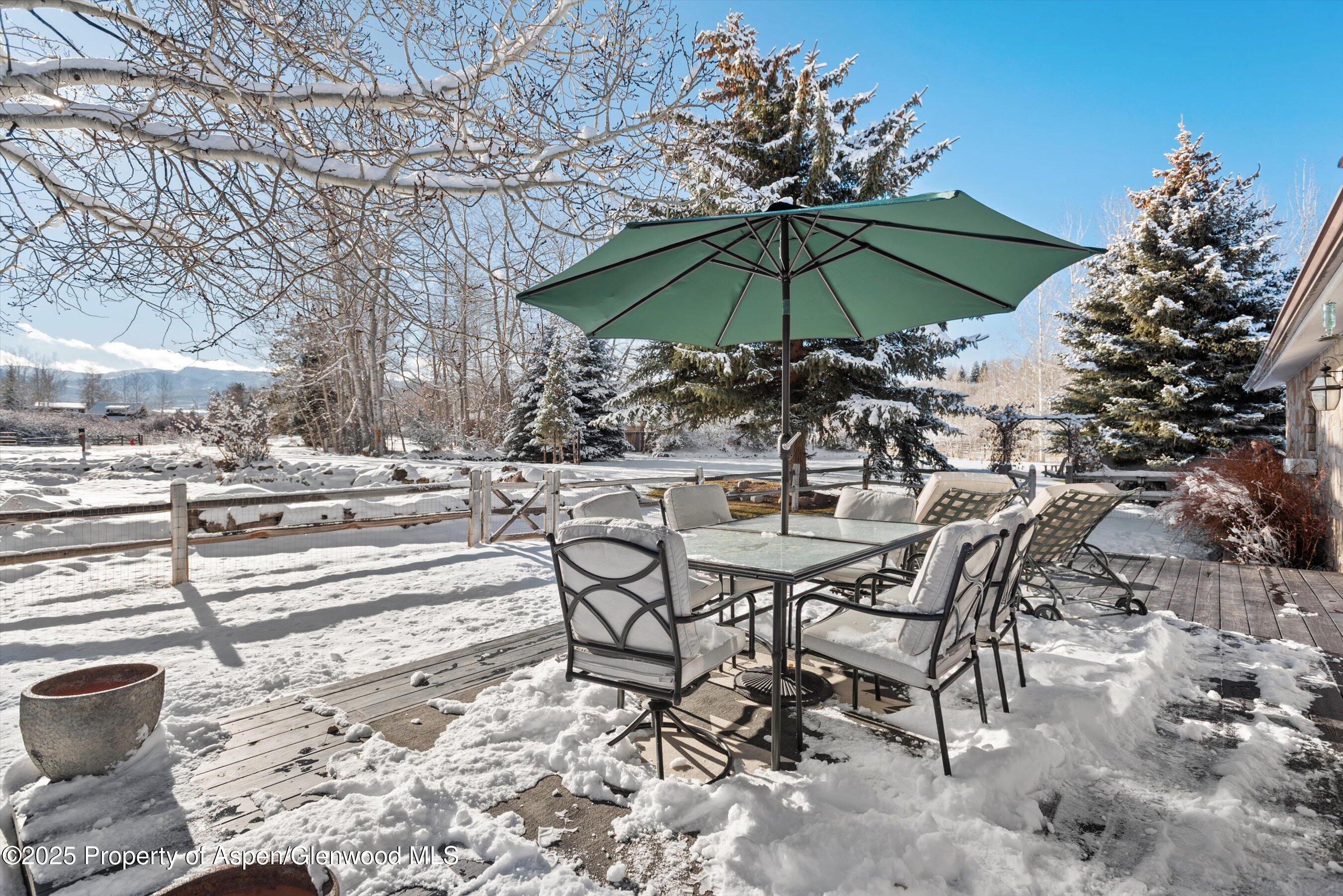61 Davidson Lane Snowmass CO 81654