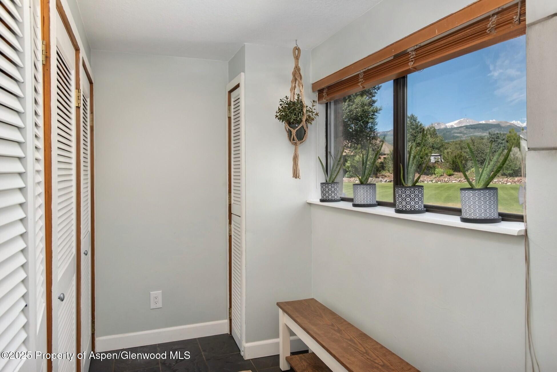 61 Davidson Lane Snowmass CO 81654