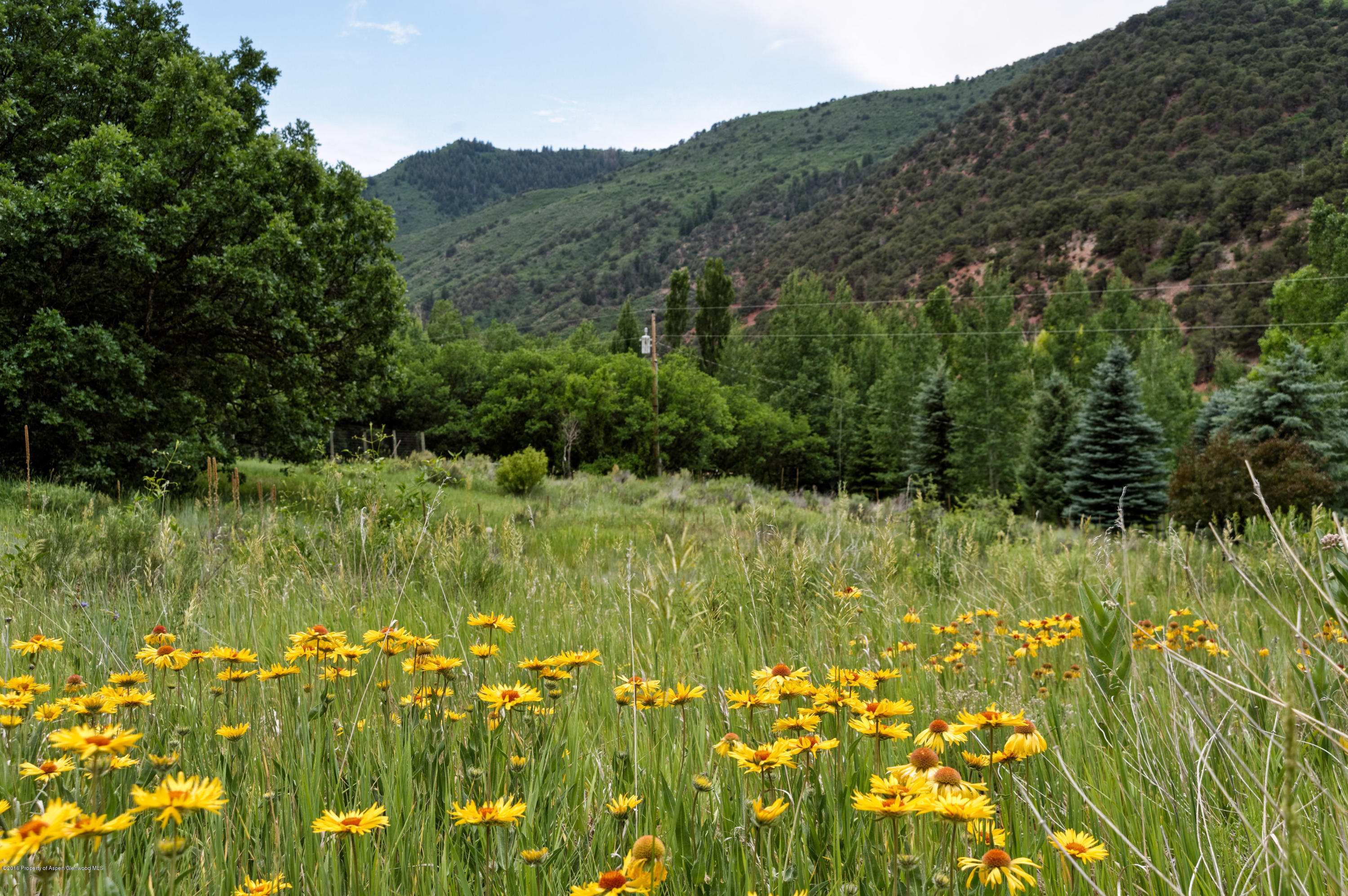 504 Crystal Circle Carbondale CO 81623
