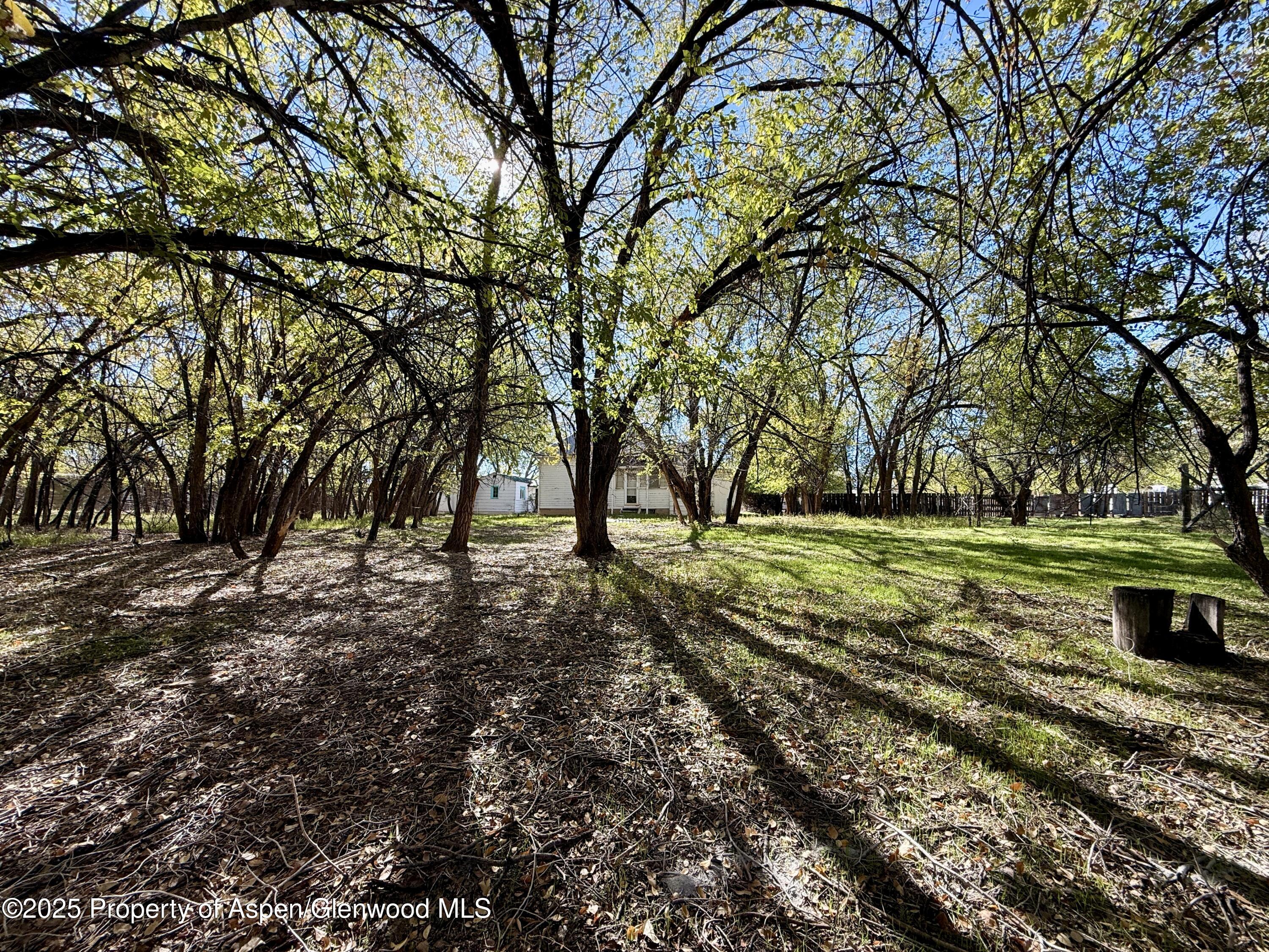 1100 Santa Clara Avenue Grand Junction CO 81503