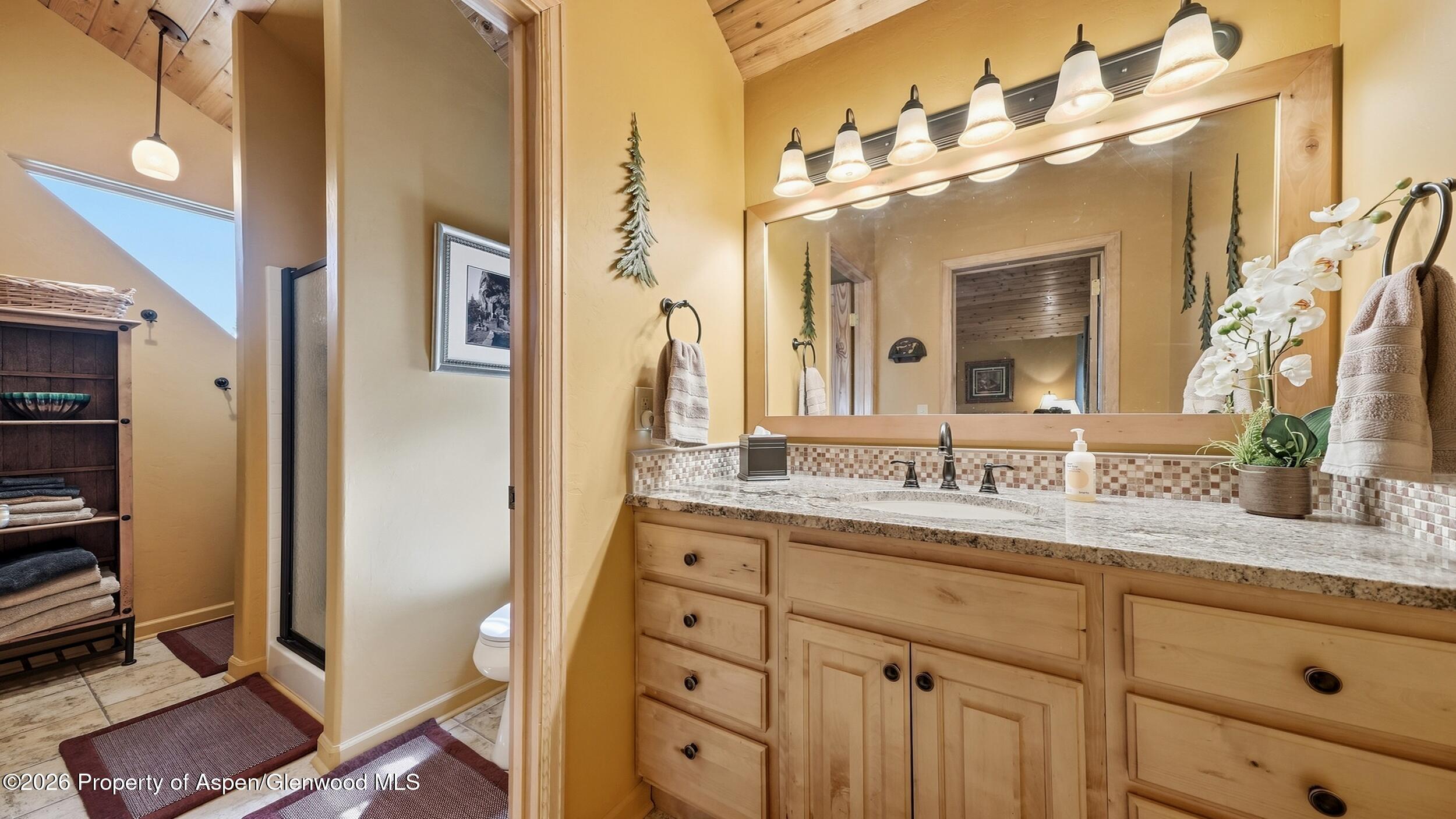 702 Crest Drive Cimarron CO 81220