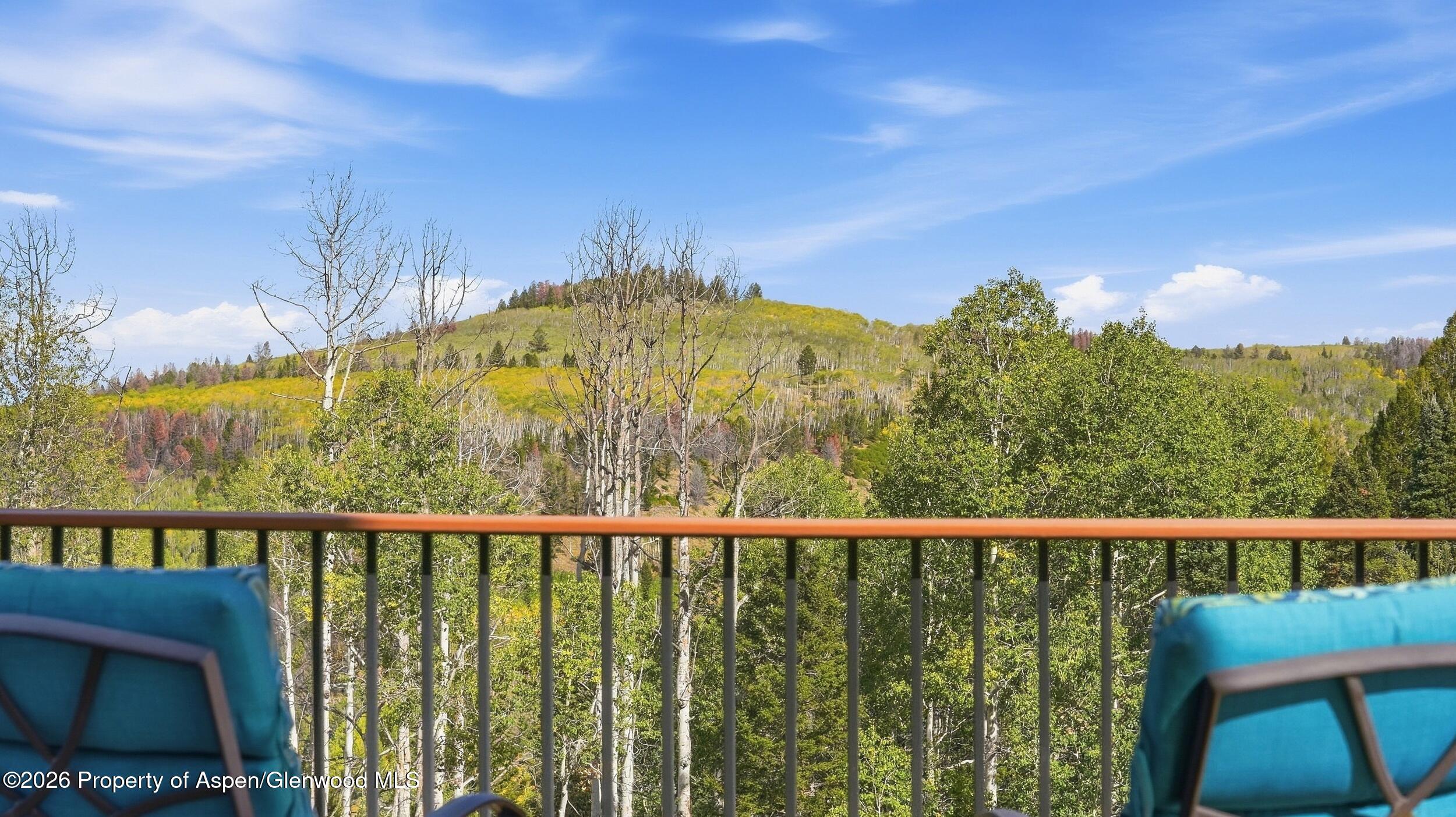 702 Crest Drive Cimarron CO 81220