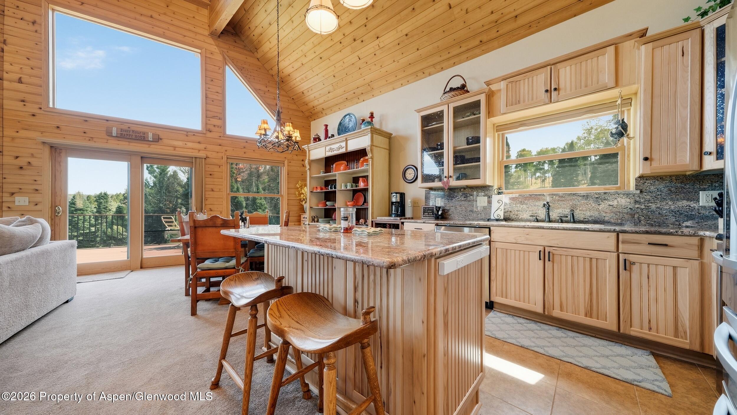 702 Crest Drive Cimarron CO 81220