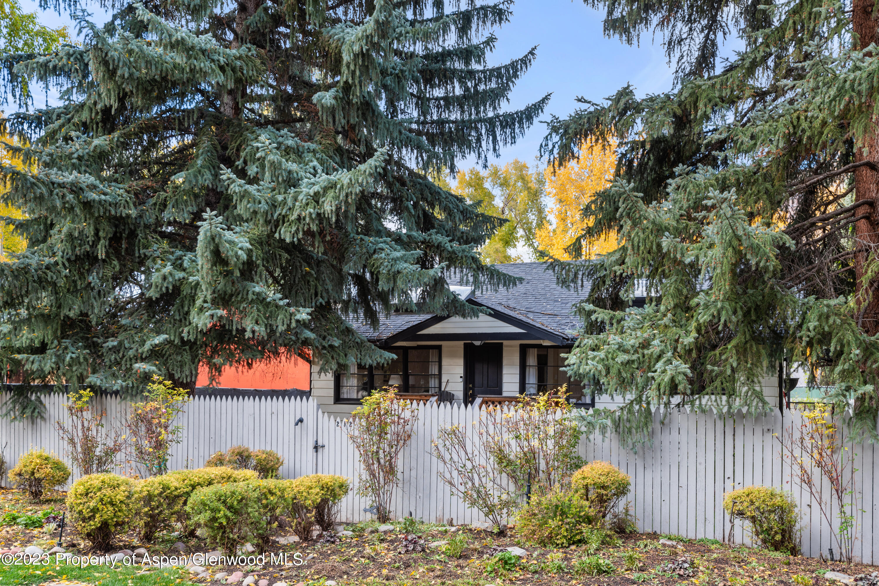 210 & 212 W Francis Street Aspen CO 81611