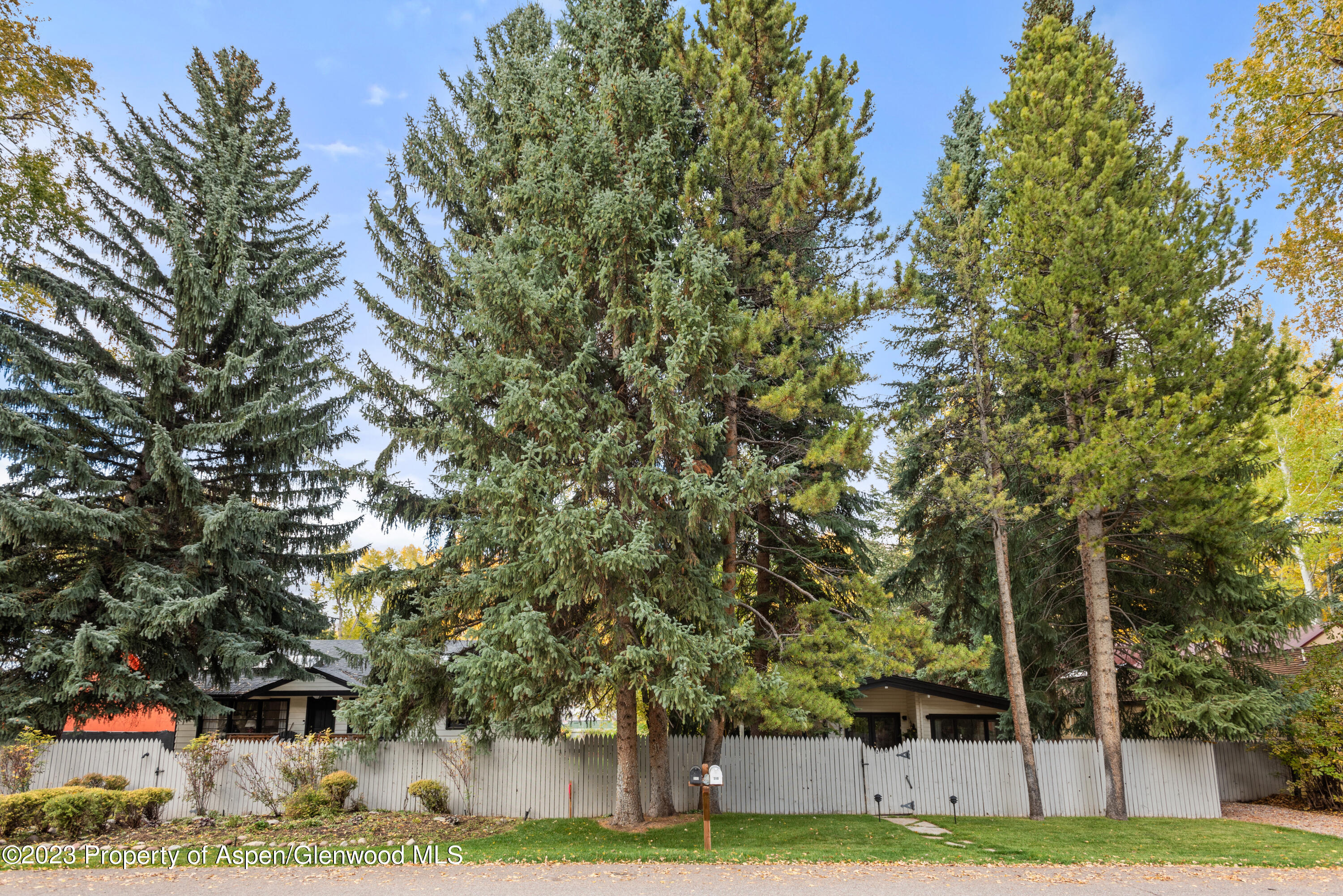 210 & 212 W Francis Street Aspen CO 81611