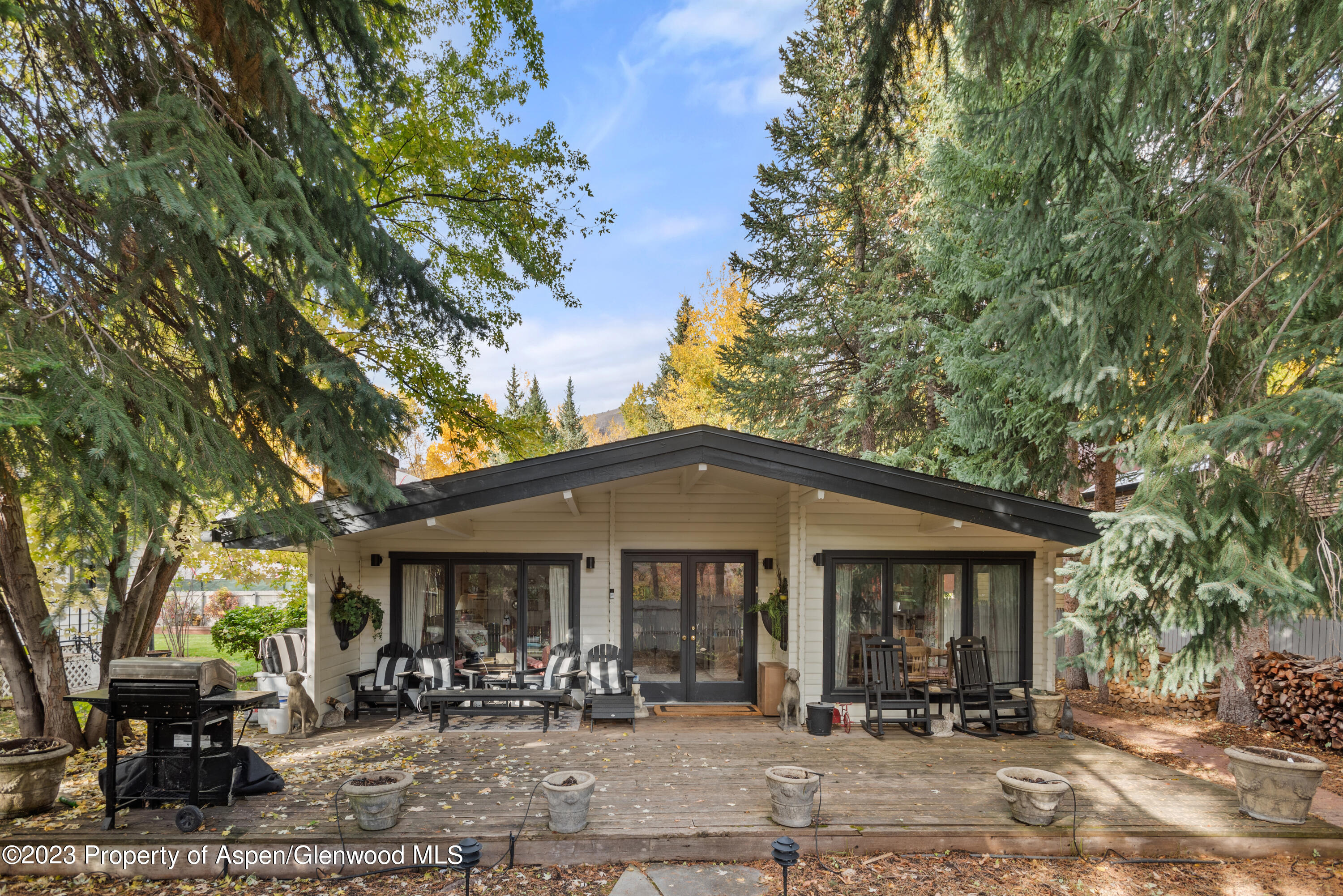 210 & 212 W Francis Street Aspen CO 81611