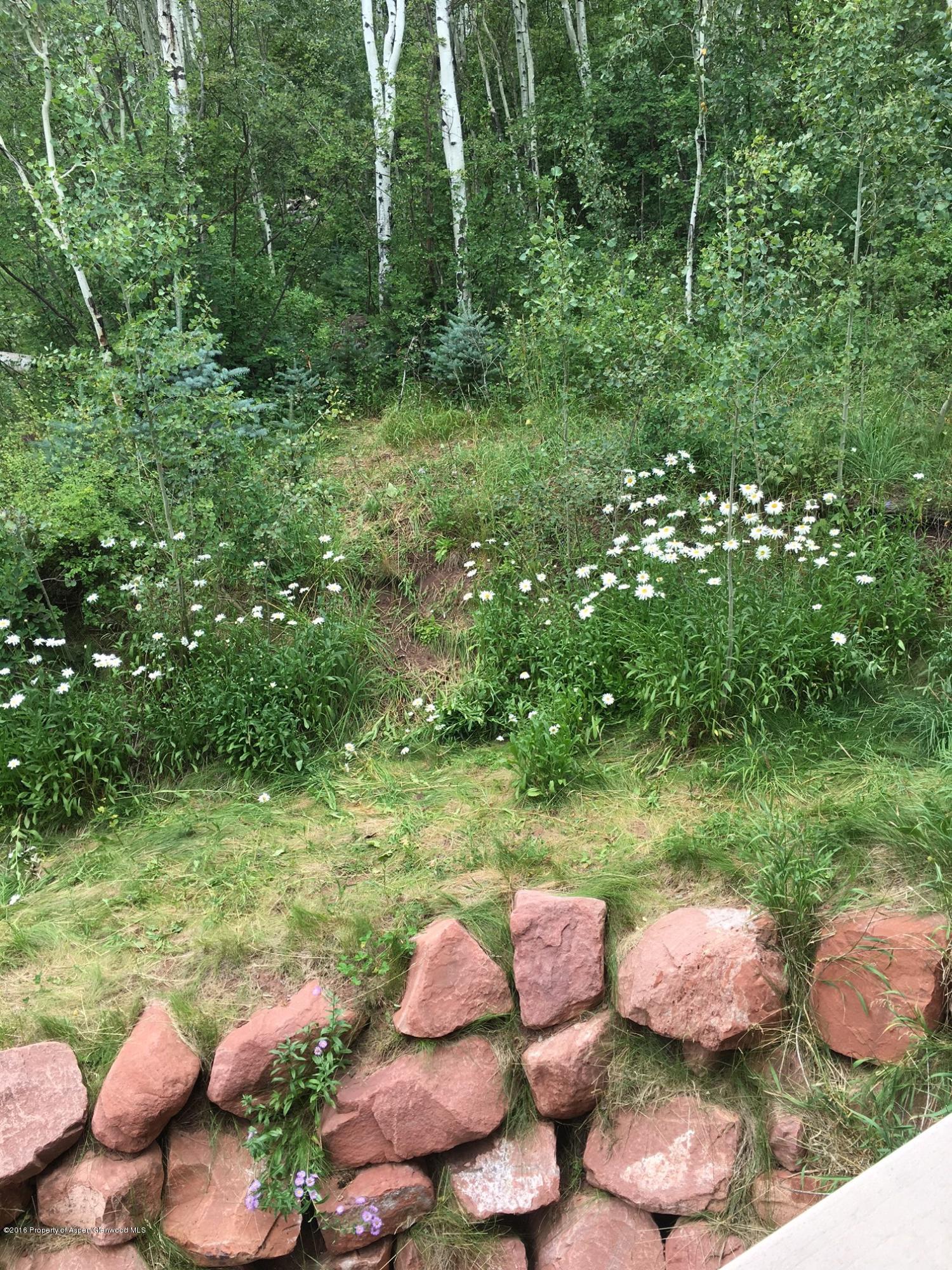 440 Crystal Park Drive Redstone CO 81623