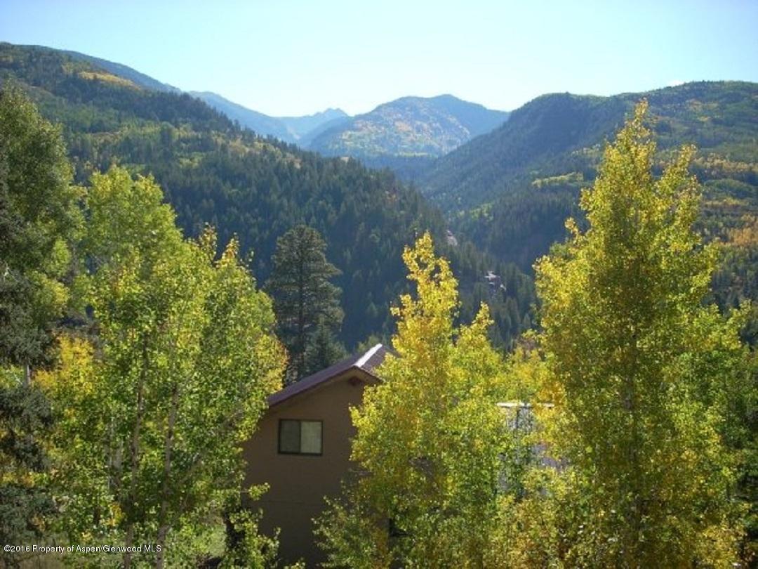 440 Crystal Park Drive Redstone CO 81623