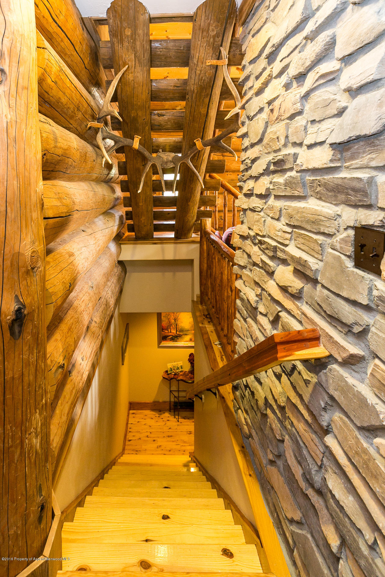 440 Crystal Park Drive Redstone CO 81623