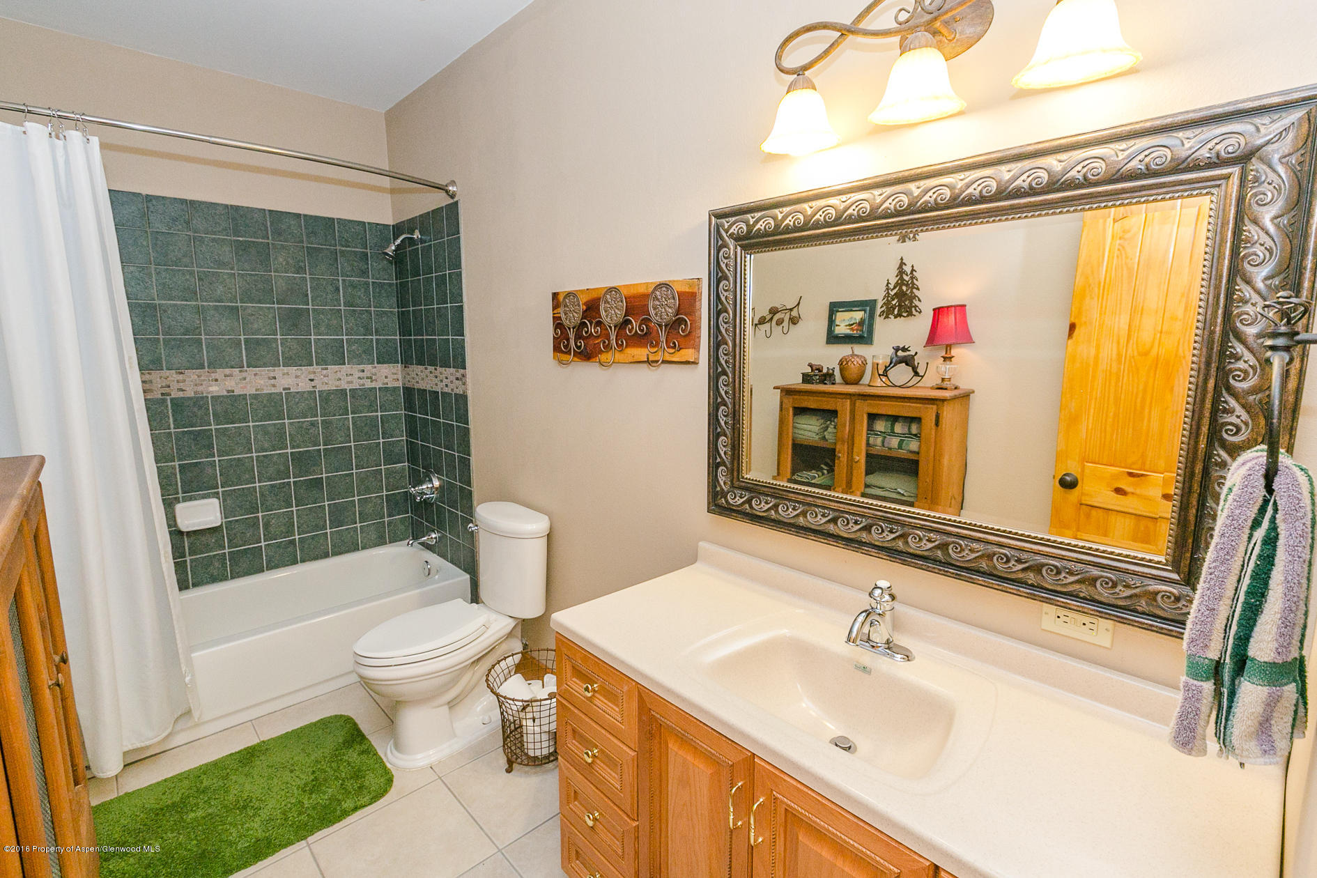 440 Crystal Park Drive Redstone CO 81623