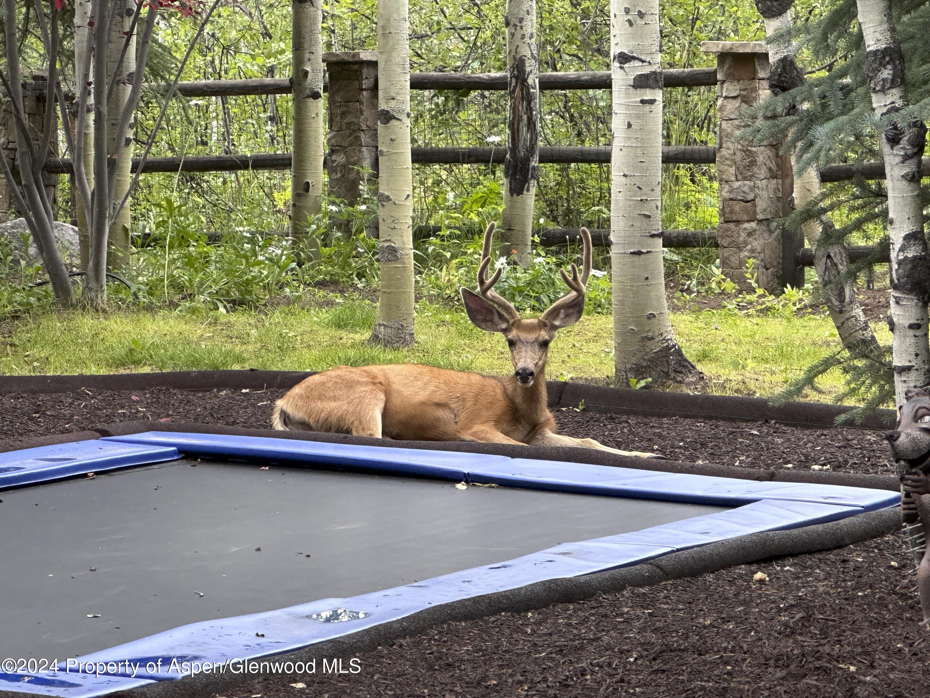 137 Westview Drive Aspen CO 81611