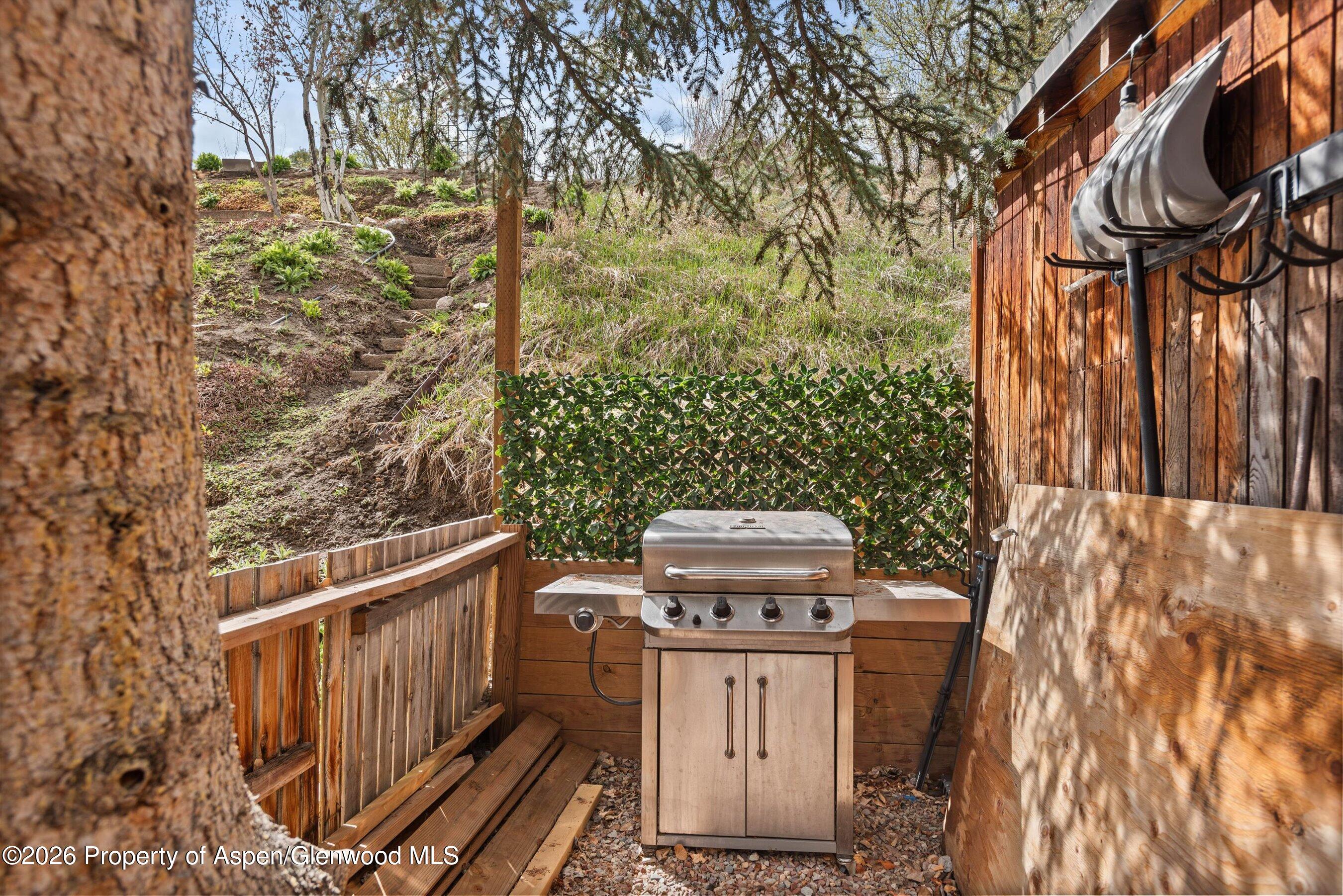 132 Ridge Trail Aspen CO 81611