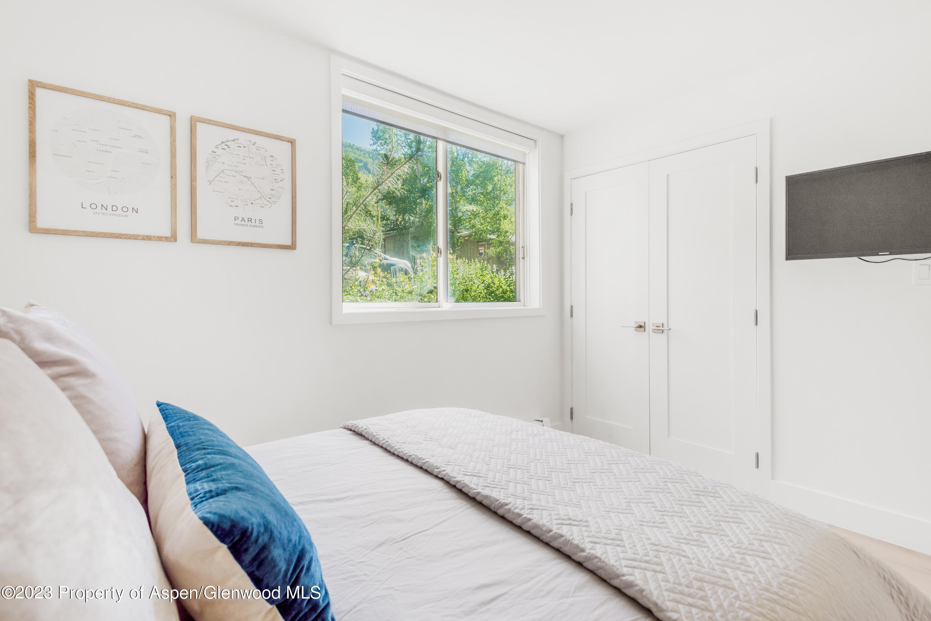 1020 E Durant Avenue Aspen CO 81611