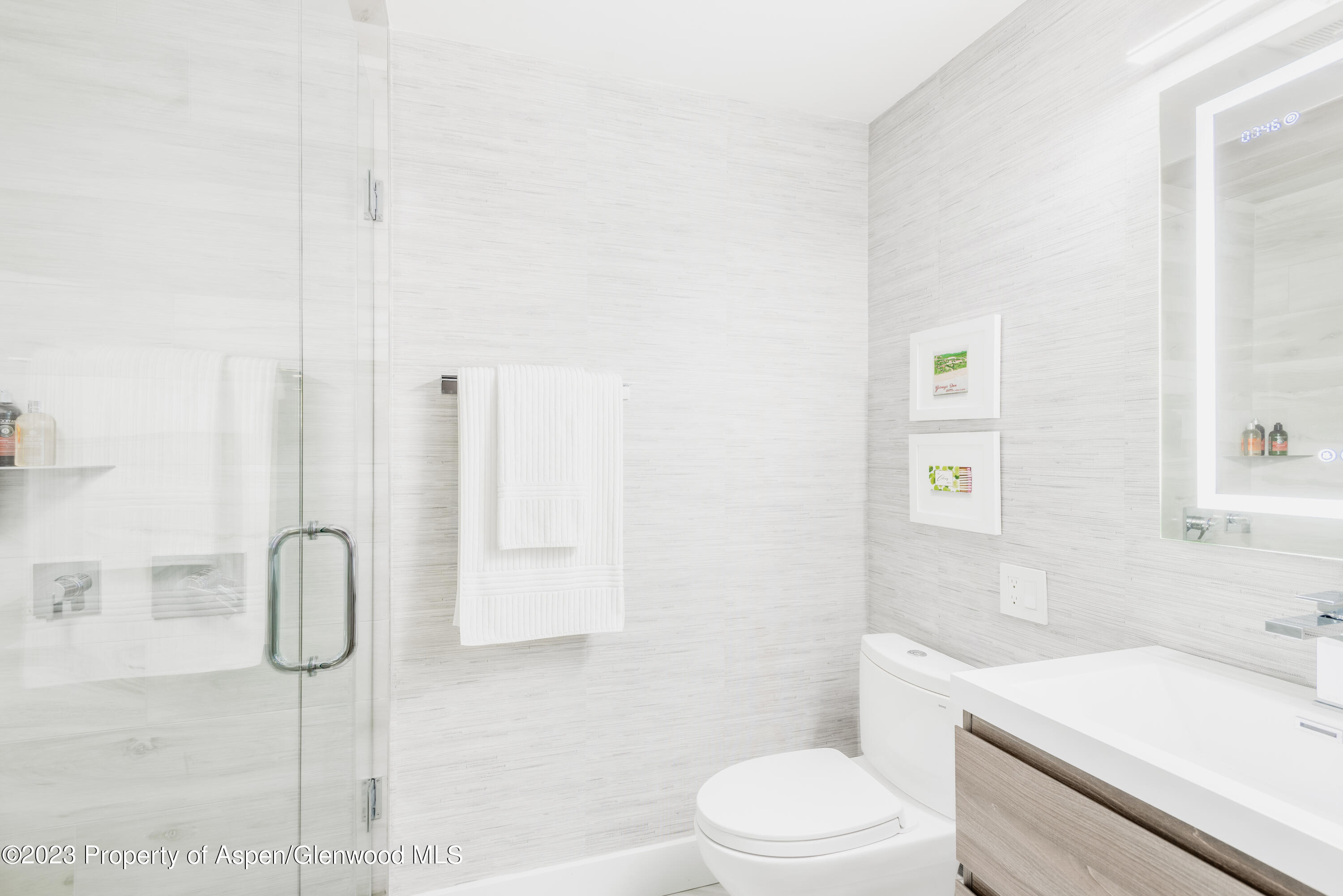 1020 E Durant Avenue Aspen CO 81611