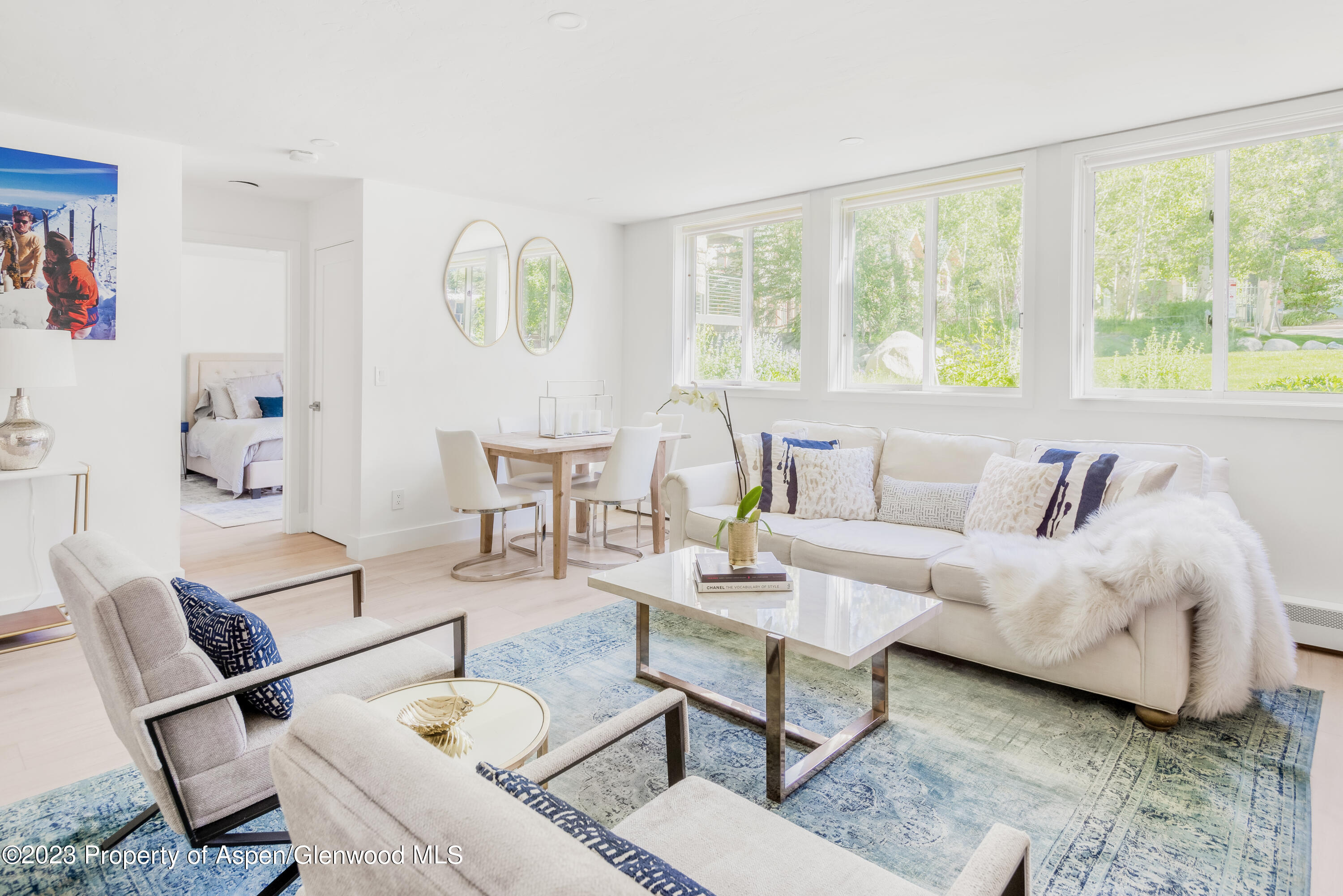 1020 E Durant Avenue Aspen CO 81611