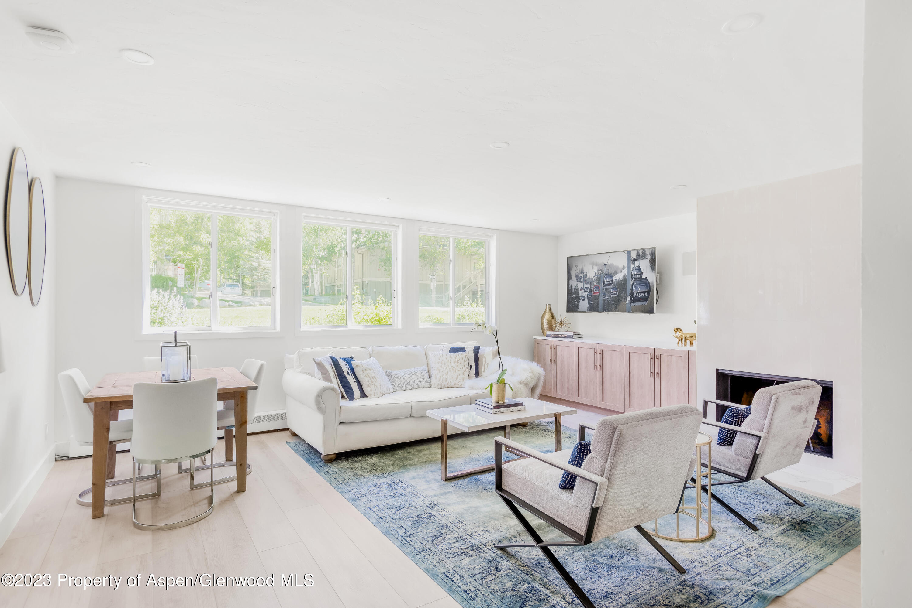 1020 E Durant Avenue Aspen CO 81611