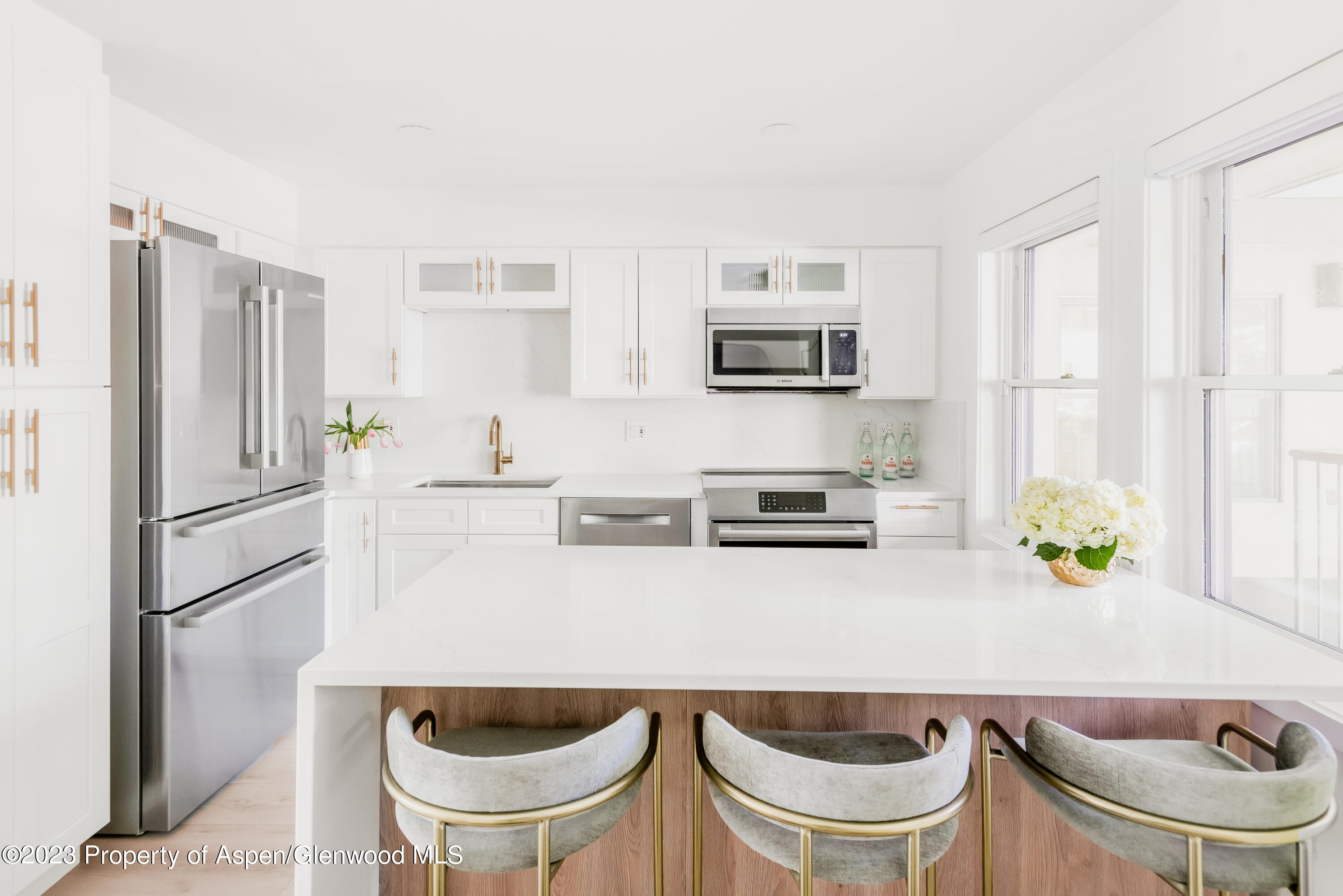 1020 E Durant Avenue Aspen CO 81611