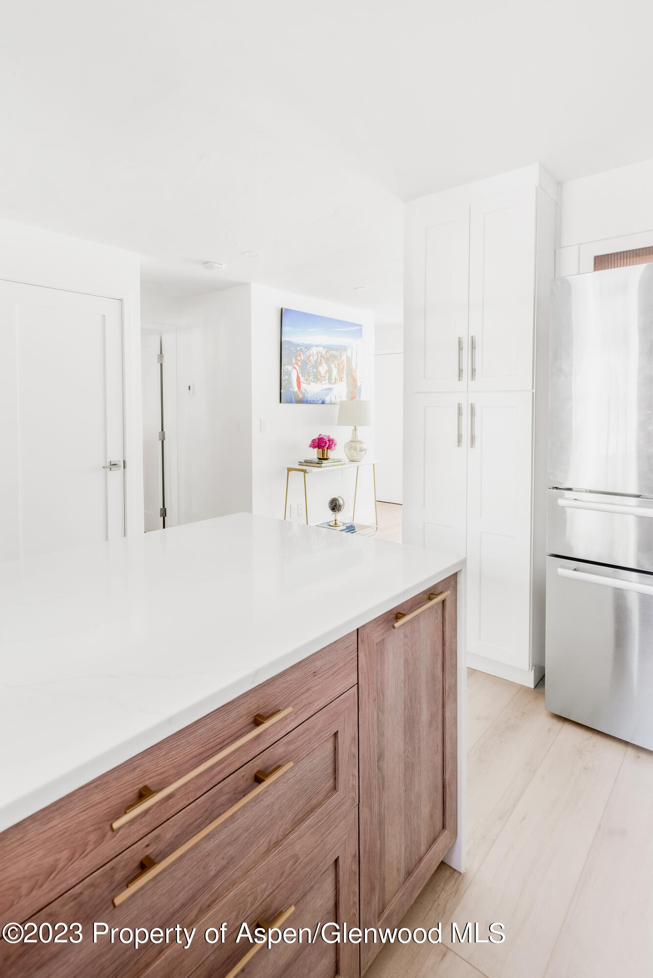 1020 E Durant Avenue Aspen CO 81611