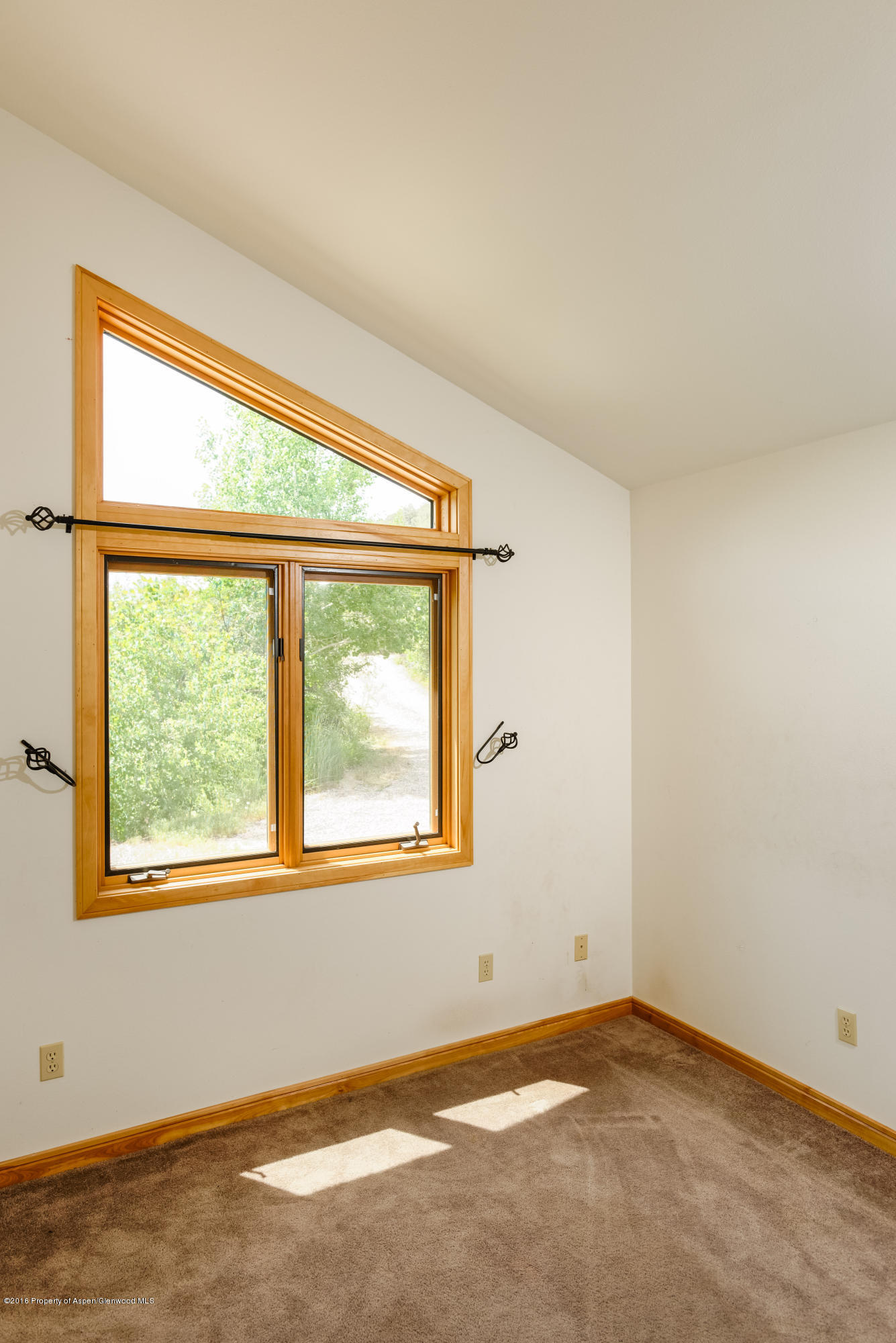 90 Cotton Hollow Lane Carbondale CO 81623