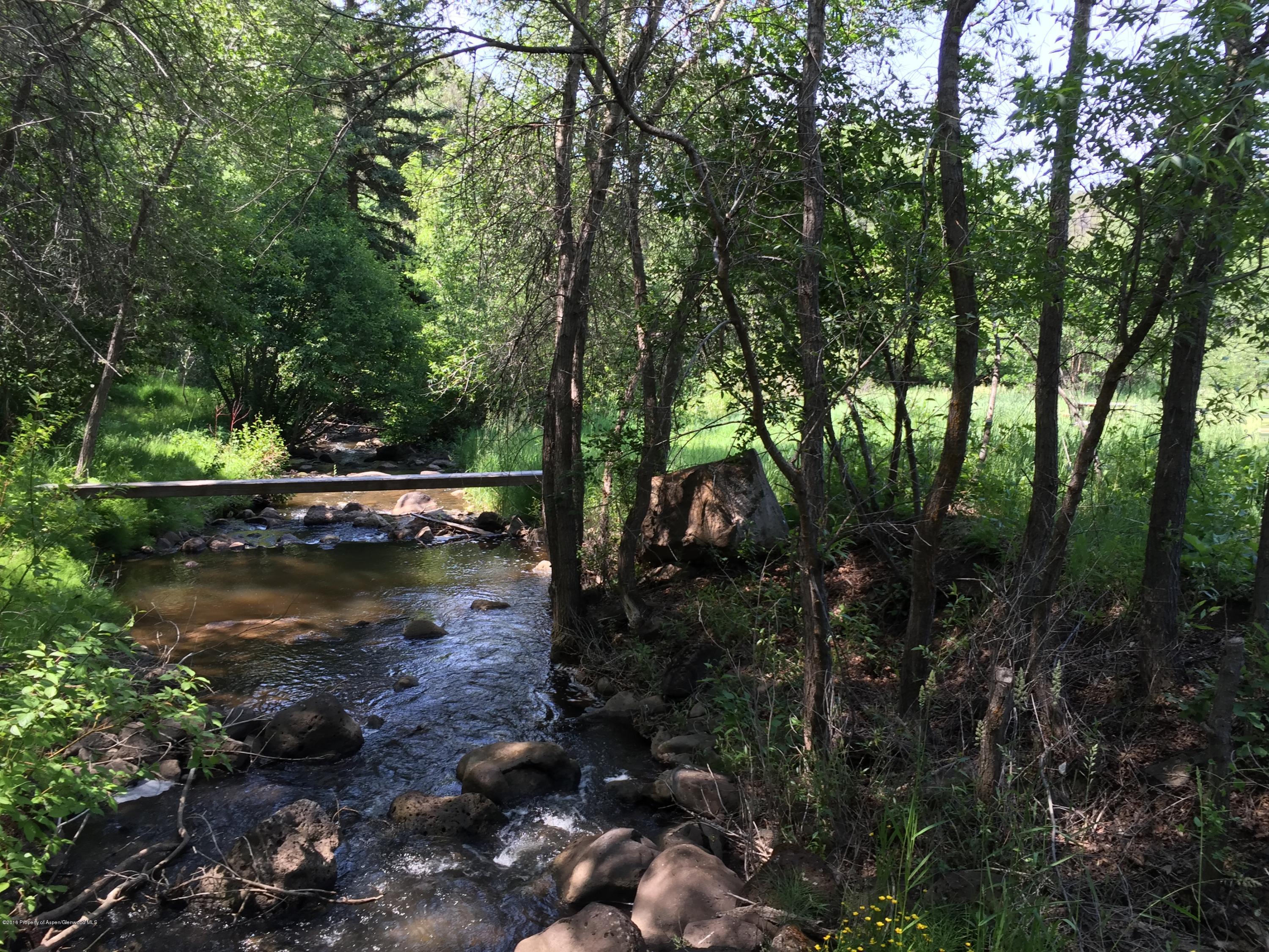 90 Cotton Hollow Lane Carbondale CO 81623