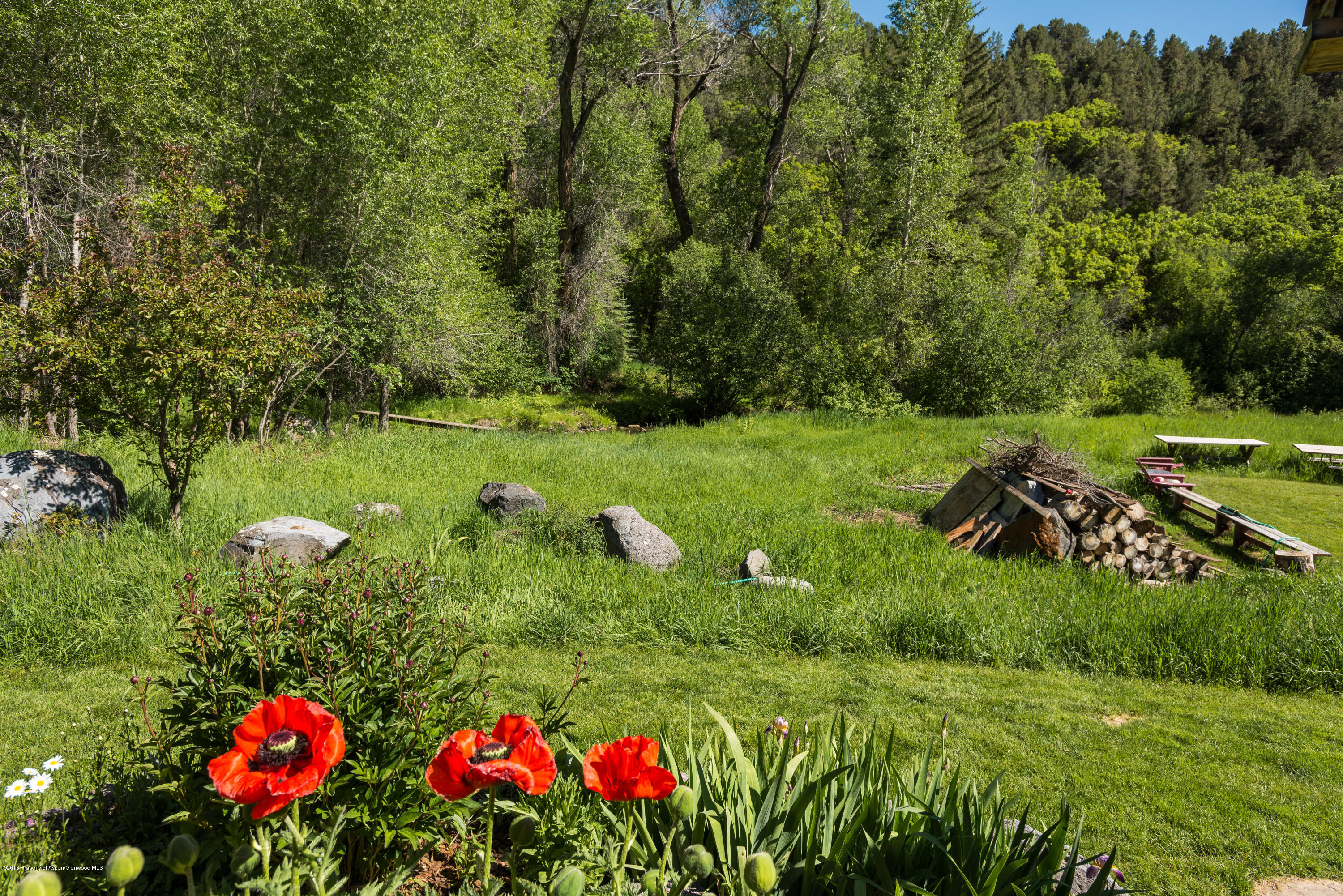 90 Cotton Hollow Lane Carbondale CO 81623