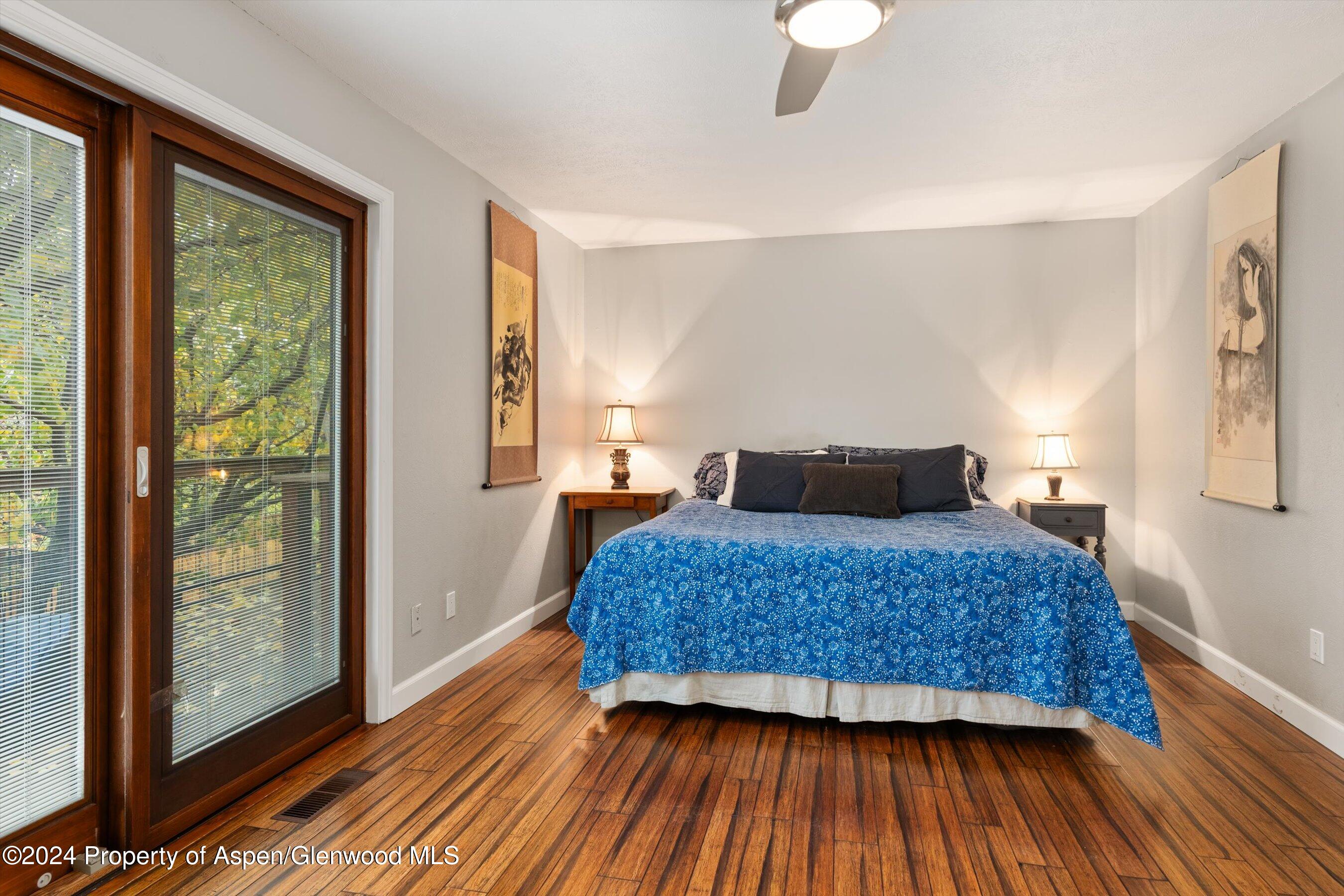 19 Clearwater Road Carbondale CO 81623