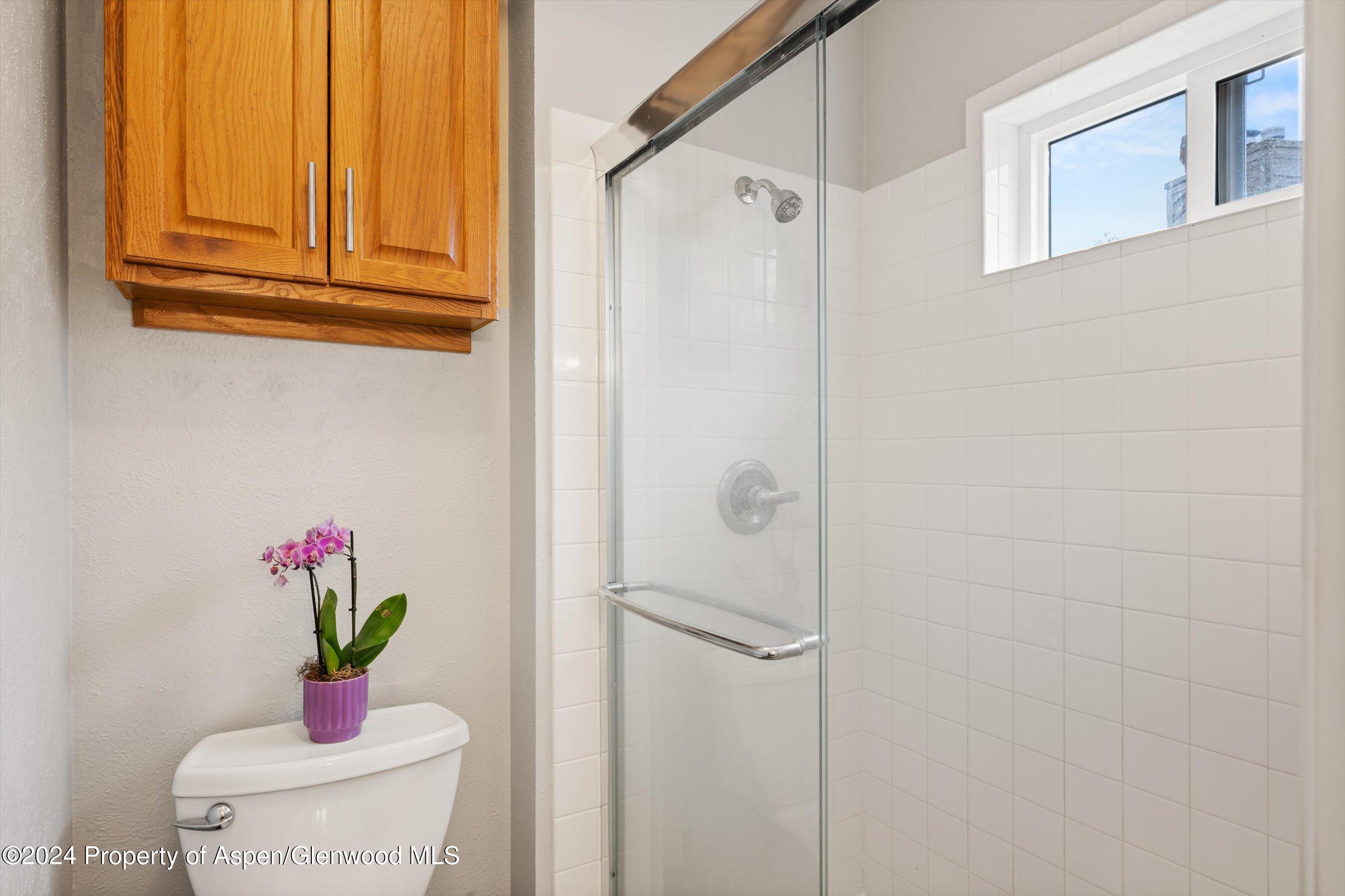 19 Clearwater Road Carbondale CO 81623