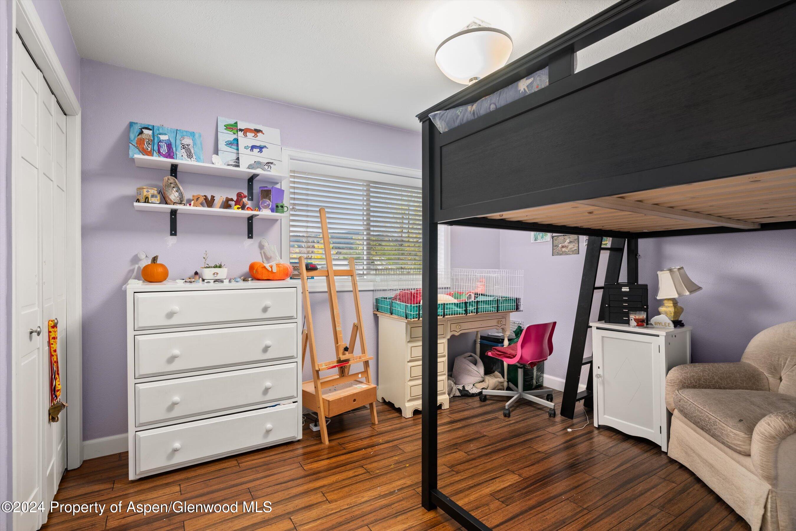 19 Clearwater Road Carbondale CO 81623