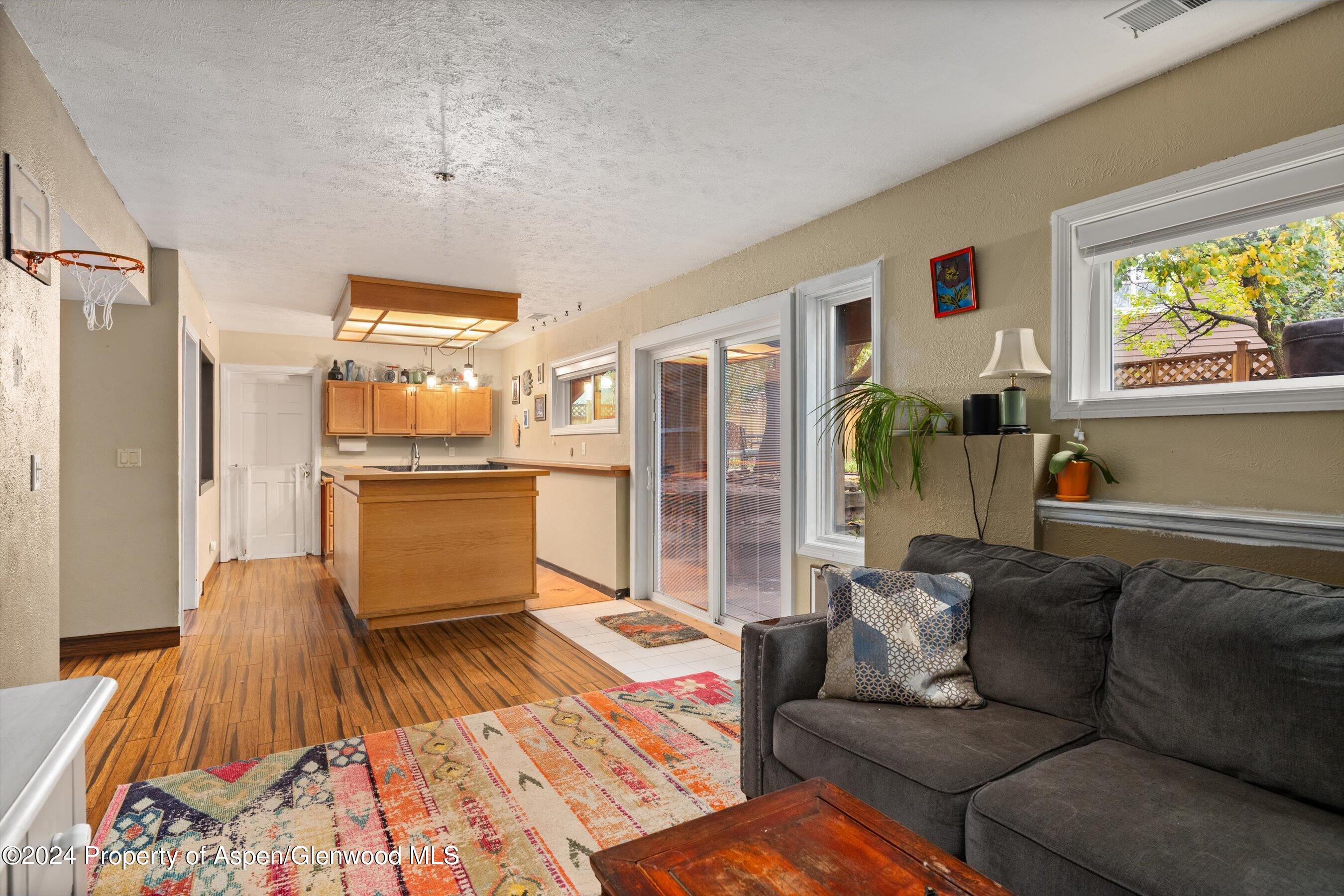 19 Clearwater Road Carbondale CO 81623