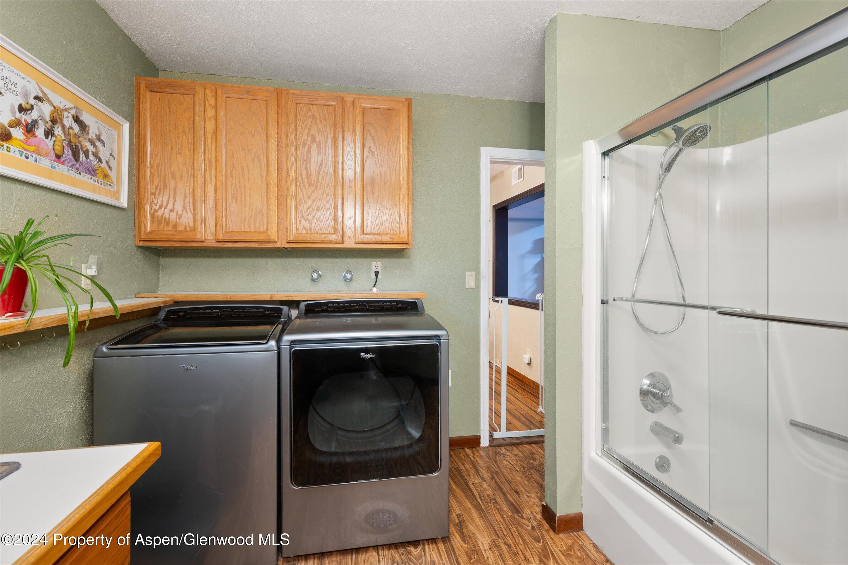 19 Clearwater Road Carbondale CO 81623