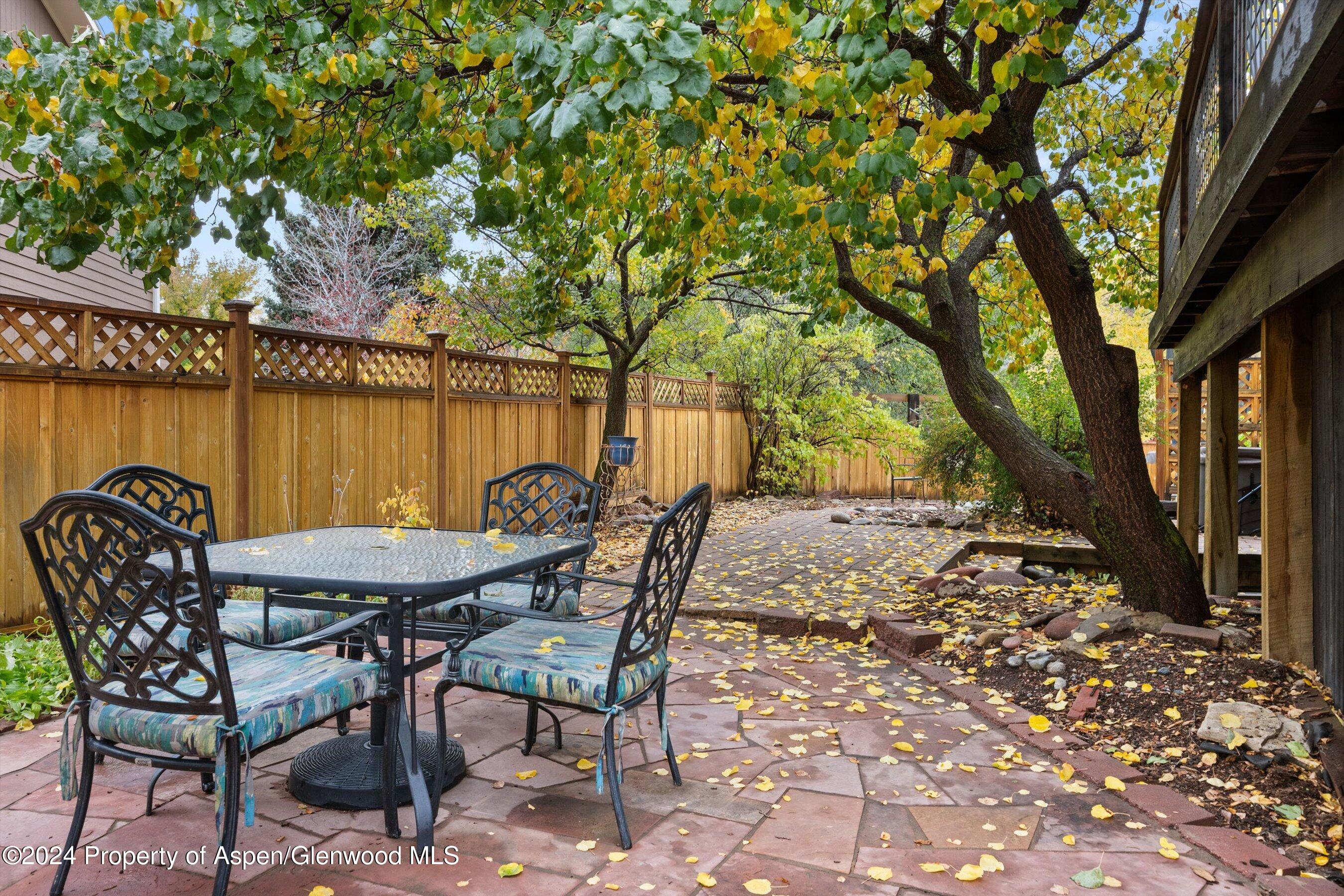 19 Clearwater Road Carbondale CO 81623